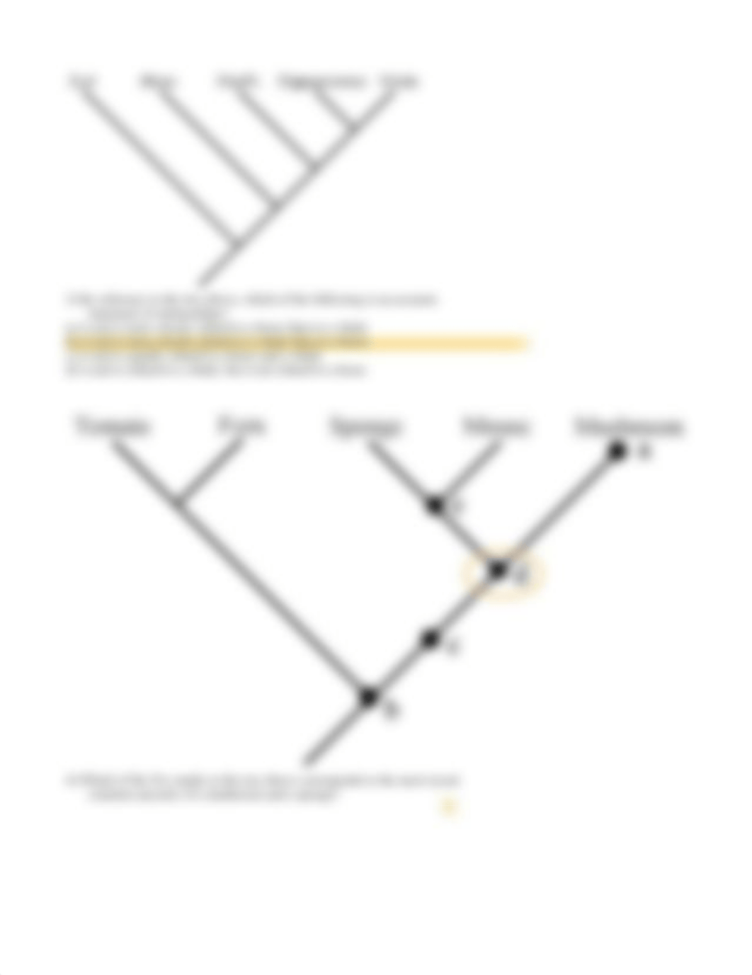 Phylogenetic Tree Worksheets for BIOL 100.pdf_d46q78t65fp_page2