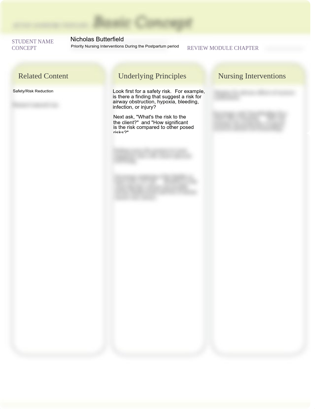 Priority Nursing Interventions During the Postpartum period Template.pdf_d46qvpmmq4t_page1