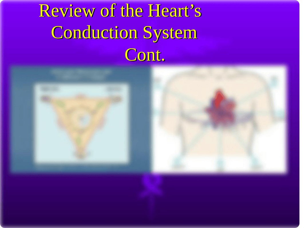 Axis Deviation.pptx.ppt_d46rk5wvq10_page3