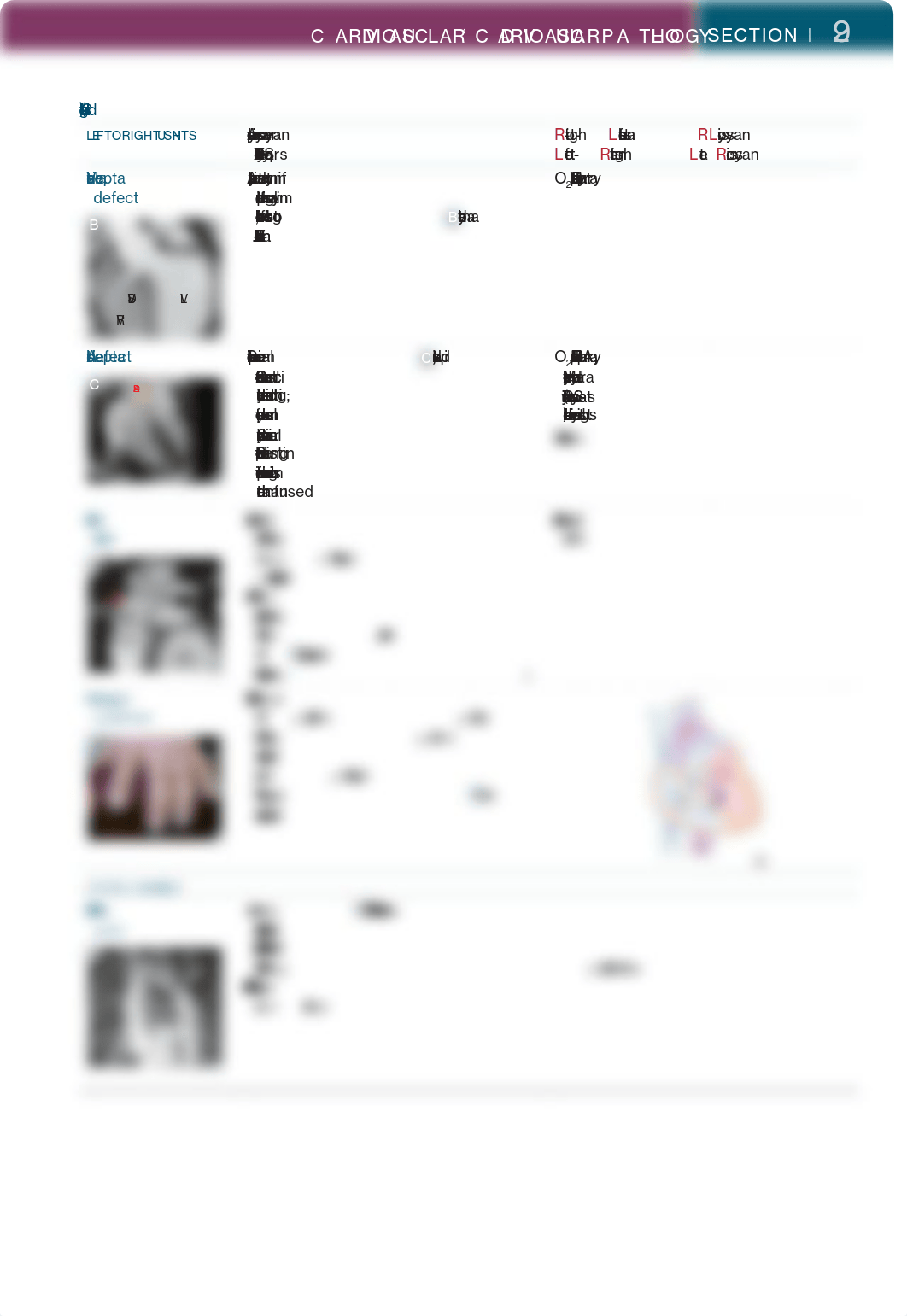 Heart pathology USMLE.pdf_d471cxxwblf_page2