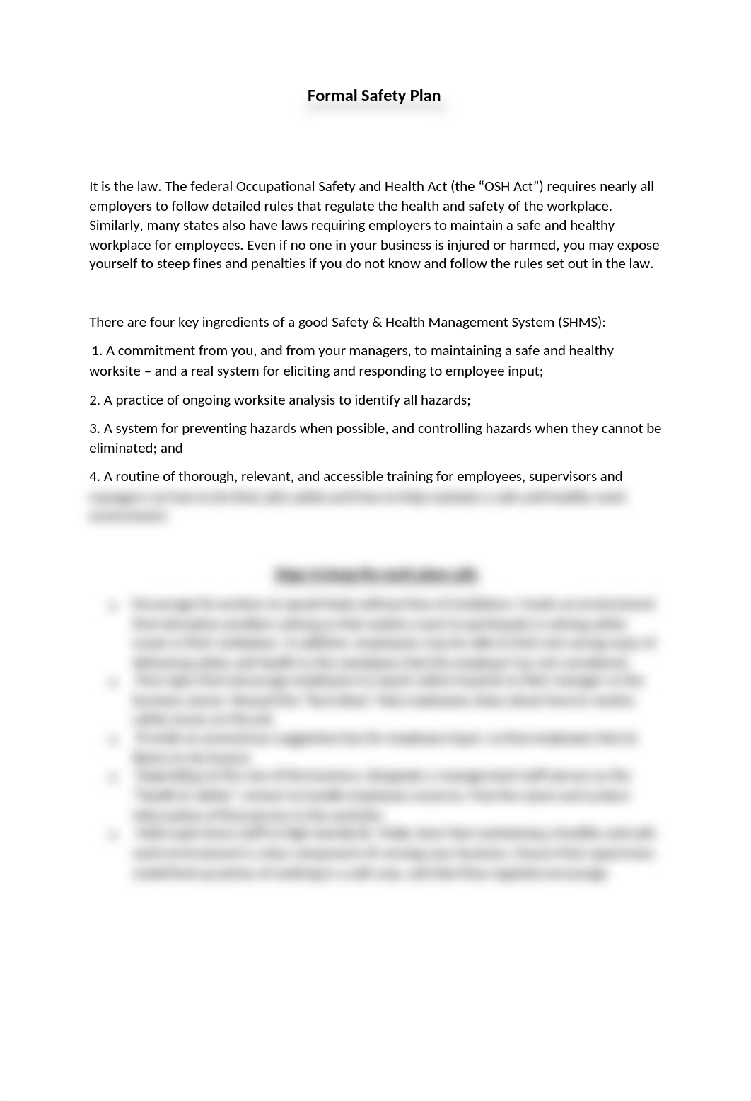 Formal Safety Plan.docx_d47c8bnxg04_page1