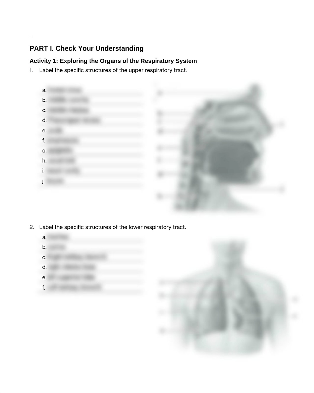 completed 12. Unit 12 laboratory exercise 26 EDIT_d47d7bddfr2_page1