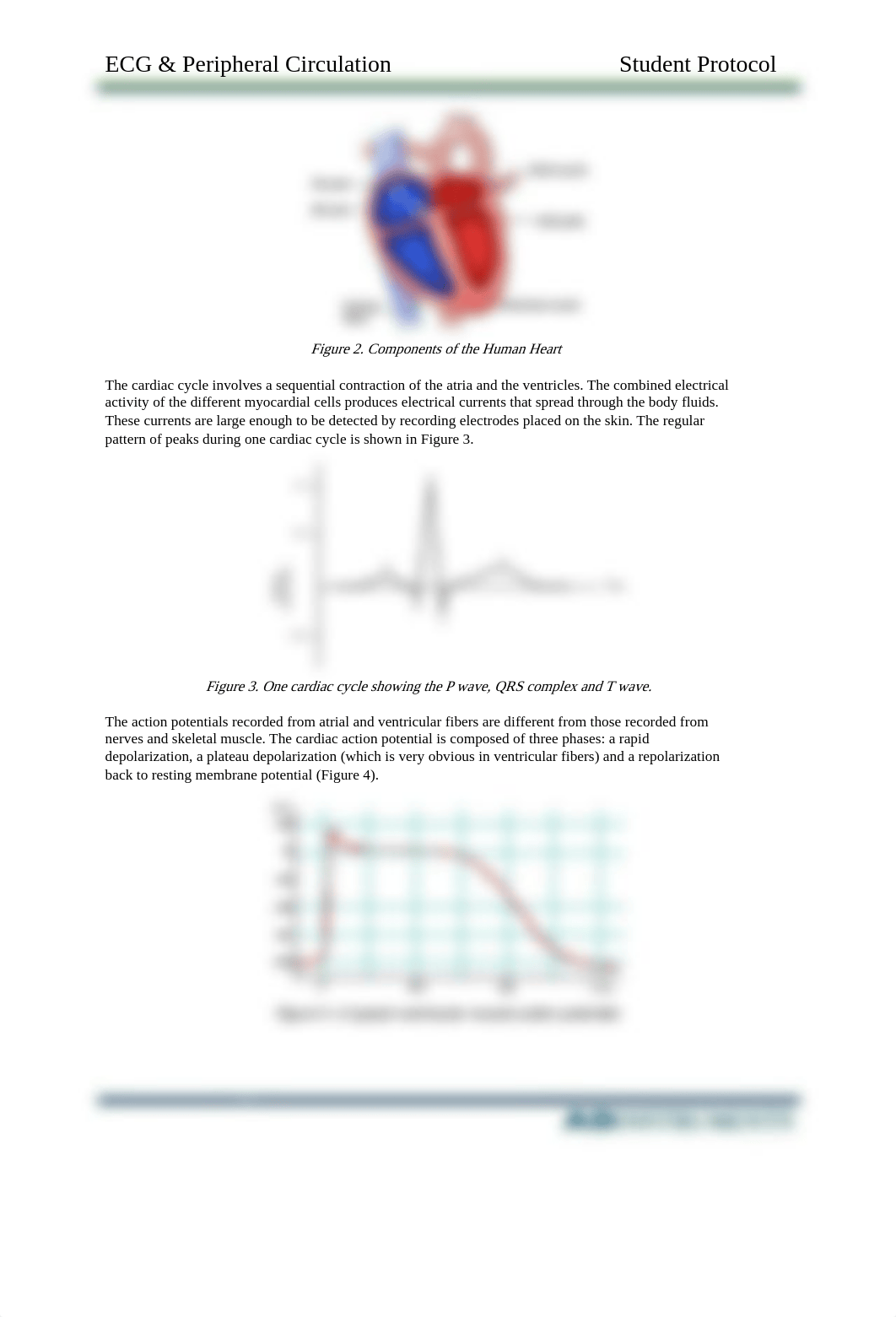 ECG & Peripheral Circulation Lab.pdf_d47ft9l12lg_page2