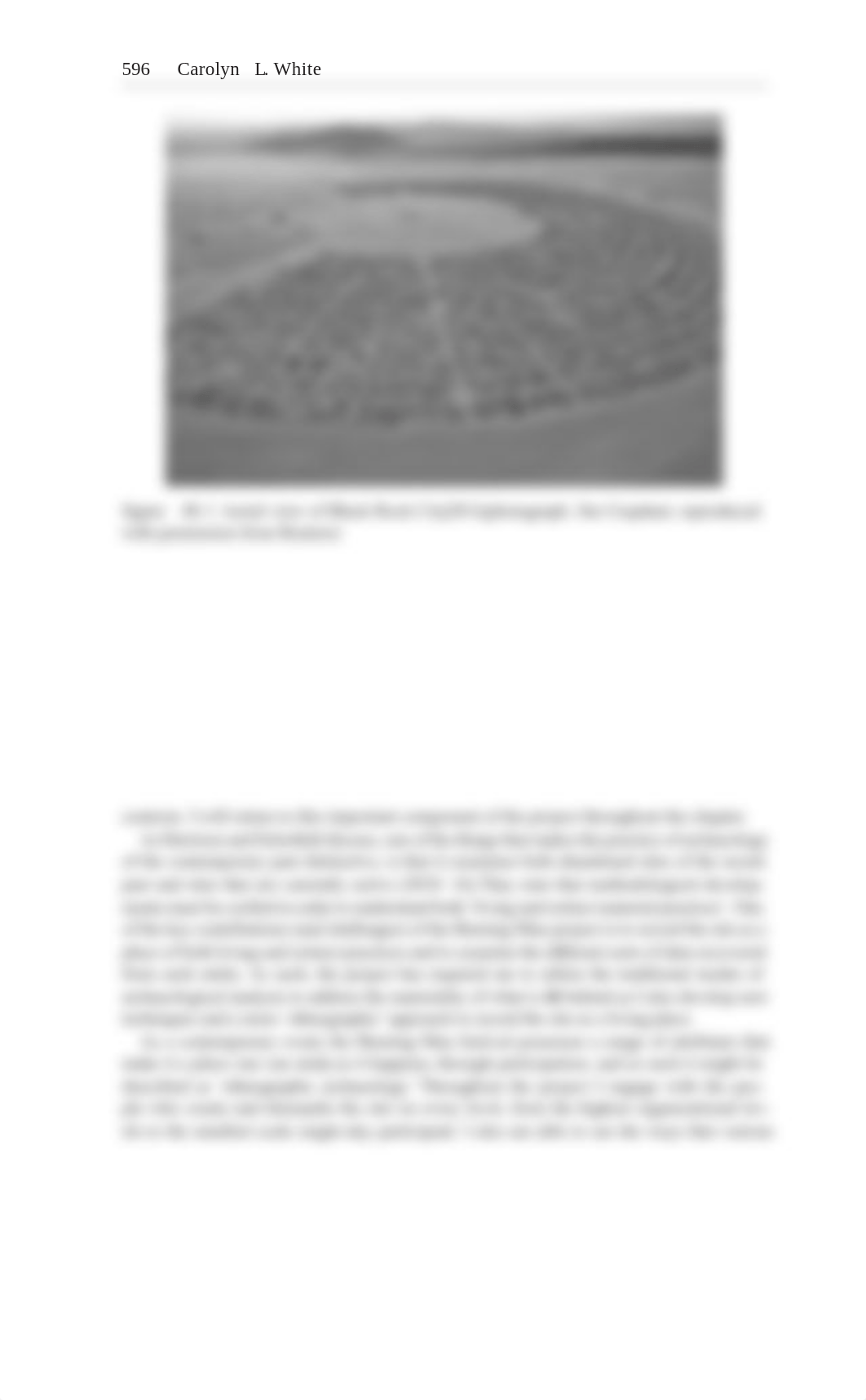 The_Burning_Man_festival_and_the_archaeo.pdf_d47g52dy4lp_page2