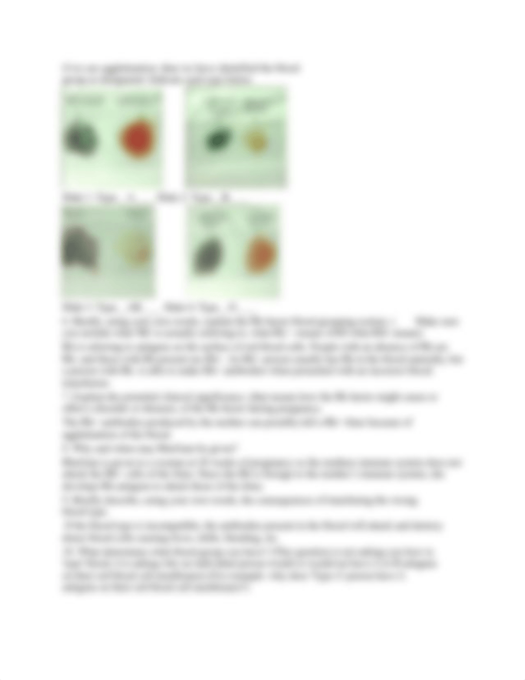 Lab 22 blood typing_d47h9ru00xs_page2