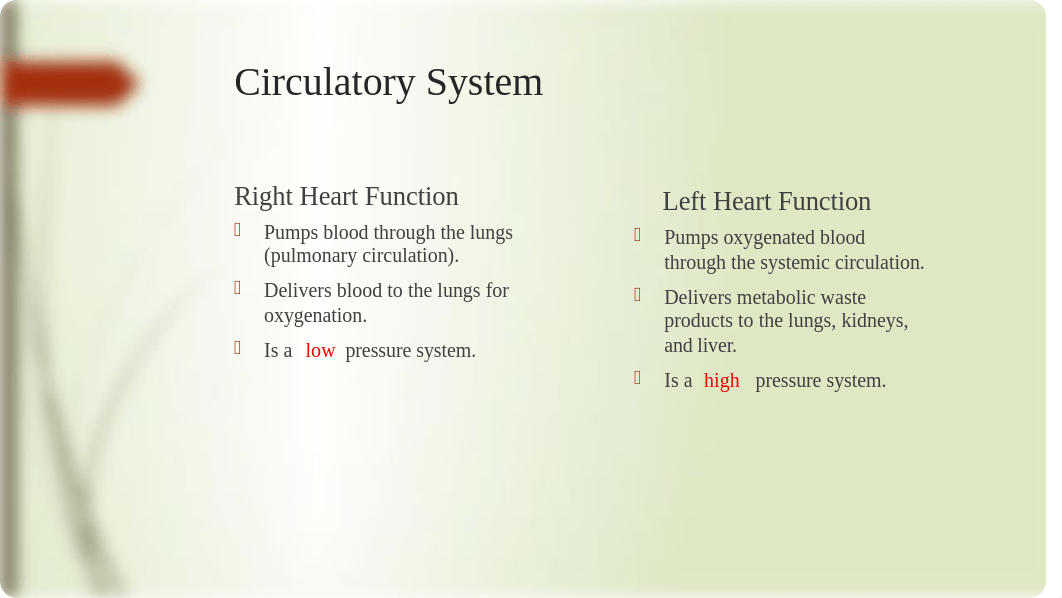 Cardiovascular and Circulatory PP tyoung.pptx_d47l7fnupgc_page4