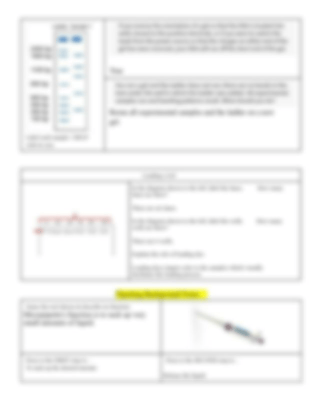 1.1.6 DNA Analysis (1).docx_d47merxt9th_page3