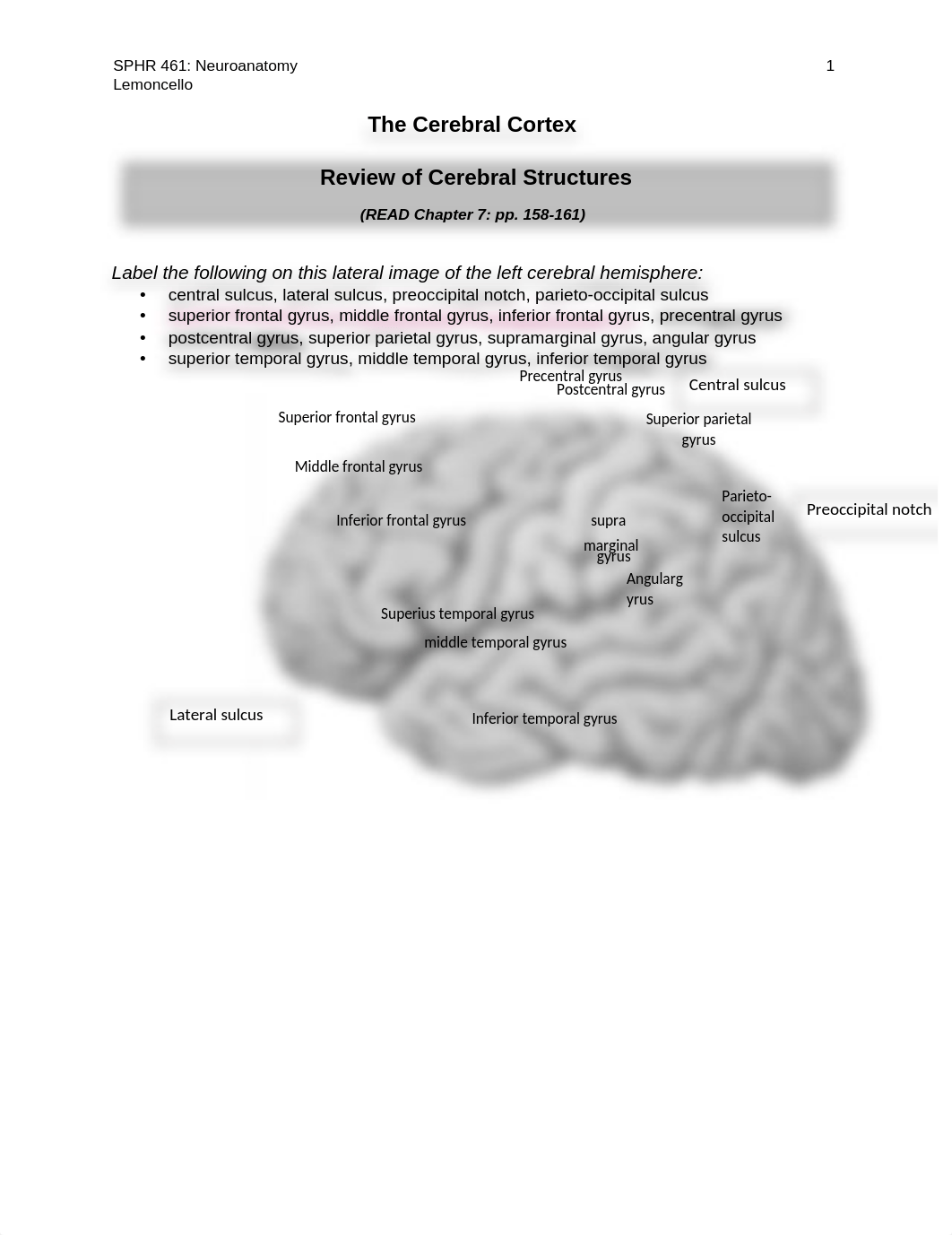 6-Cortex.docx_d47v0t1tf3v_page1