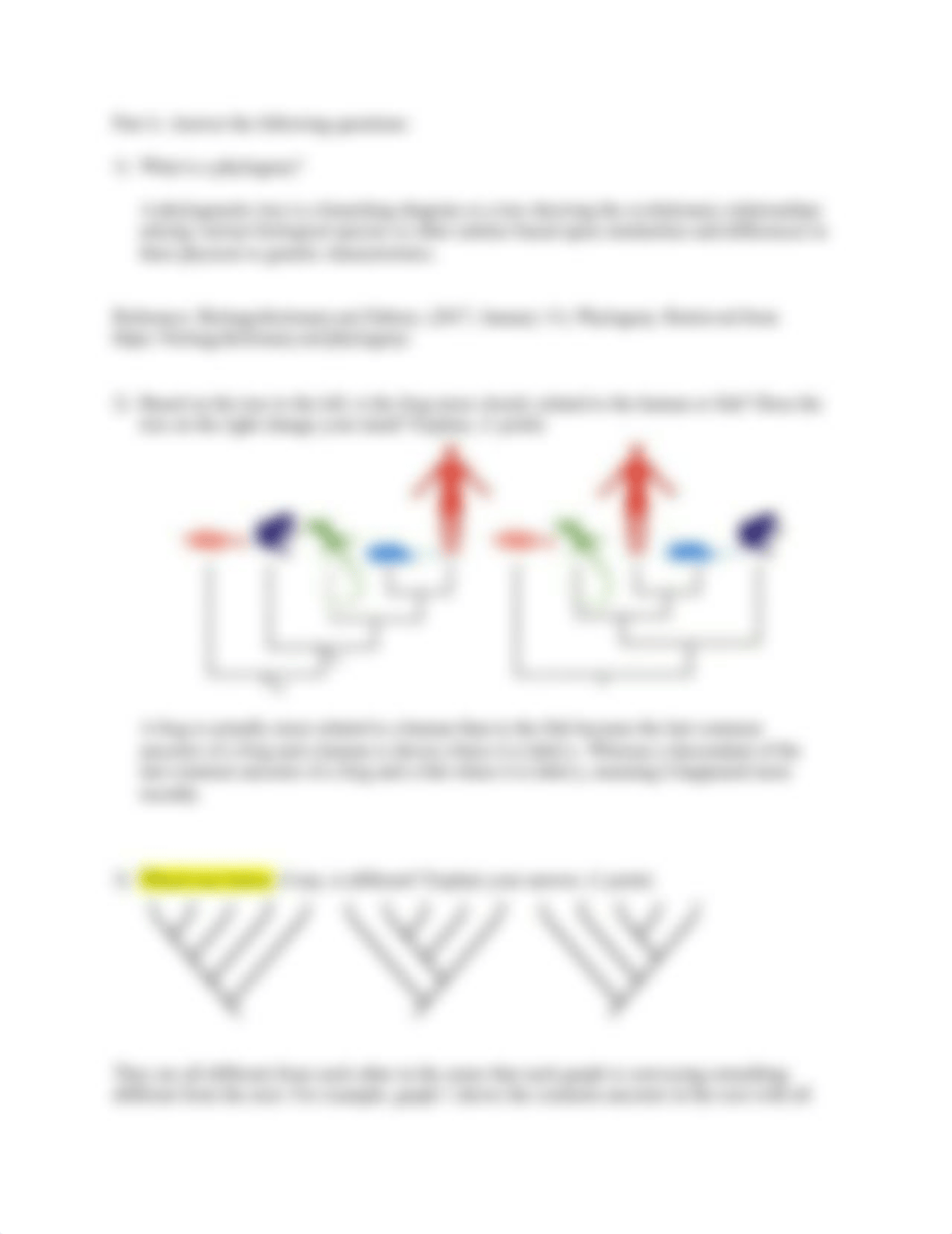 Garcia_Lab#3_BIOL191L.docx_d47y69xqzns_page3