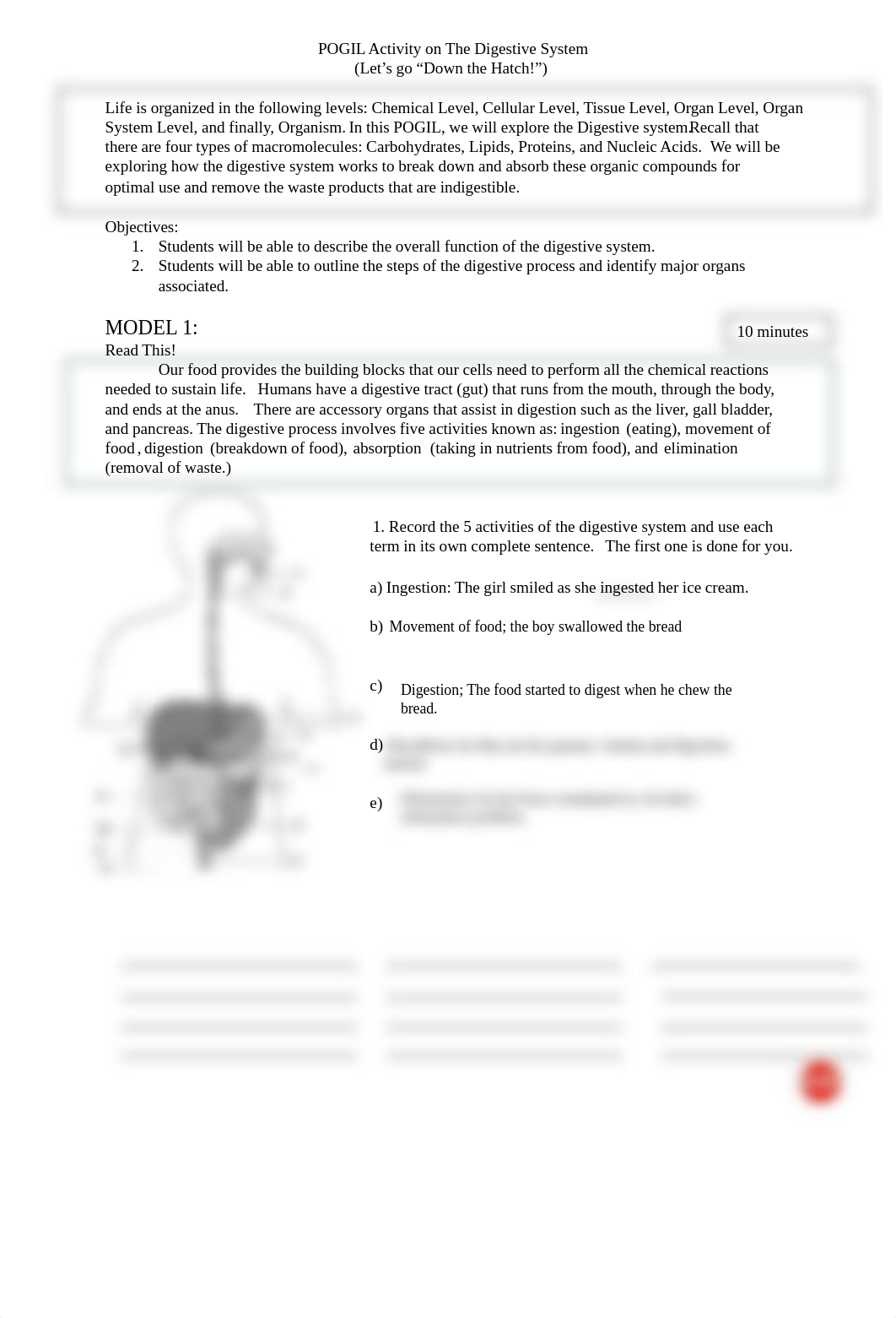 DigestiveSystem_POGIL.pdf_d4814x7urgb_page1