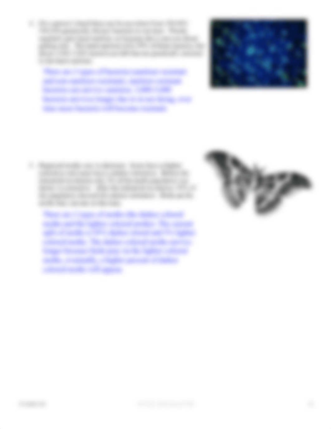 Natural Selection_Assignmentt.pdf_d481byopq9q_page2