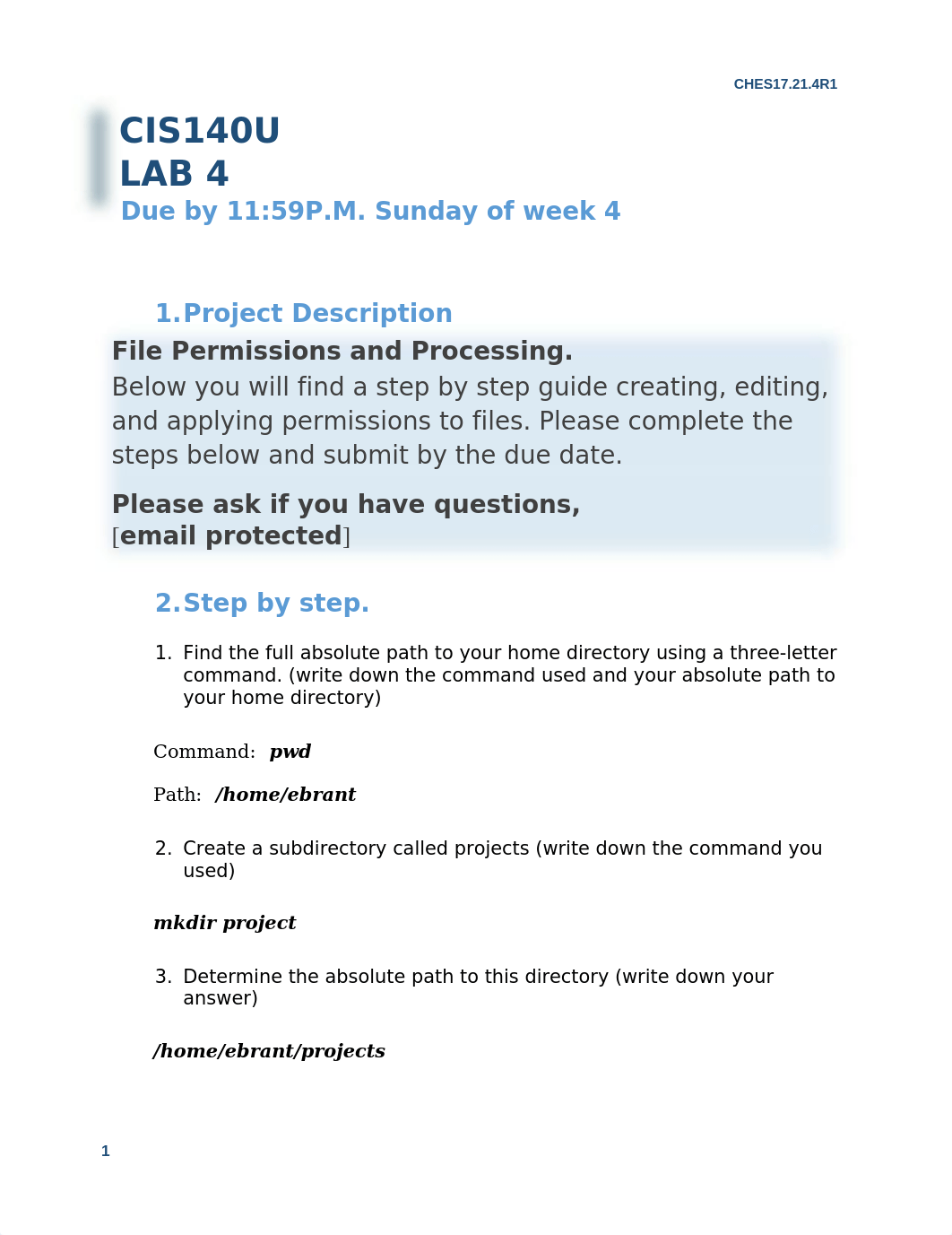 Lab4_Che.docx_d483am63cr3_page1