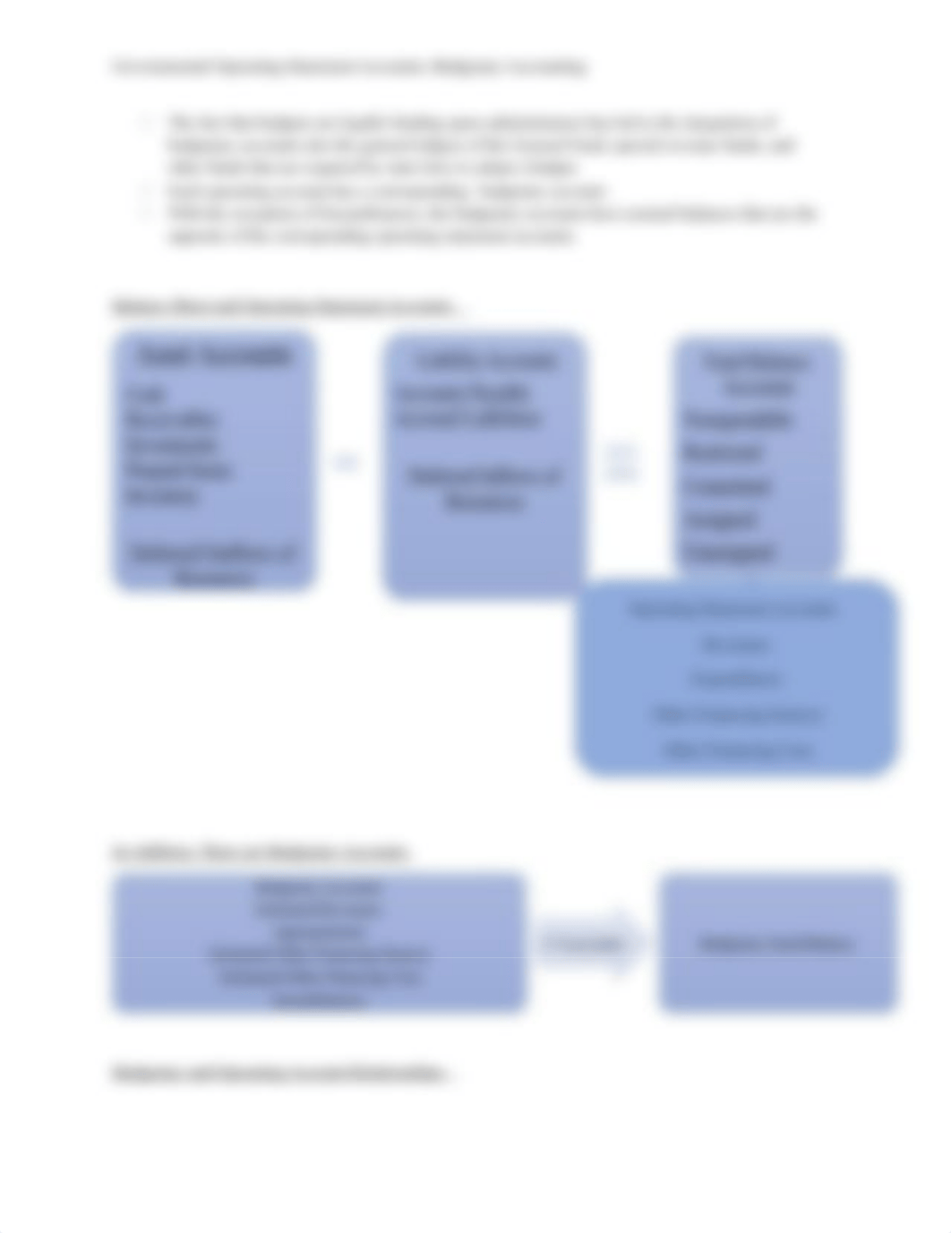 Governmental Operating Statement Accounts; Budgetary Accounting.docx_d48ceznwkb6_page4