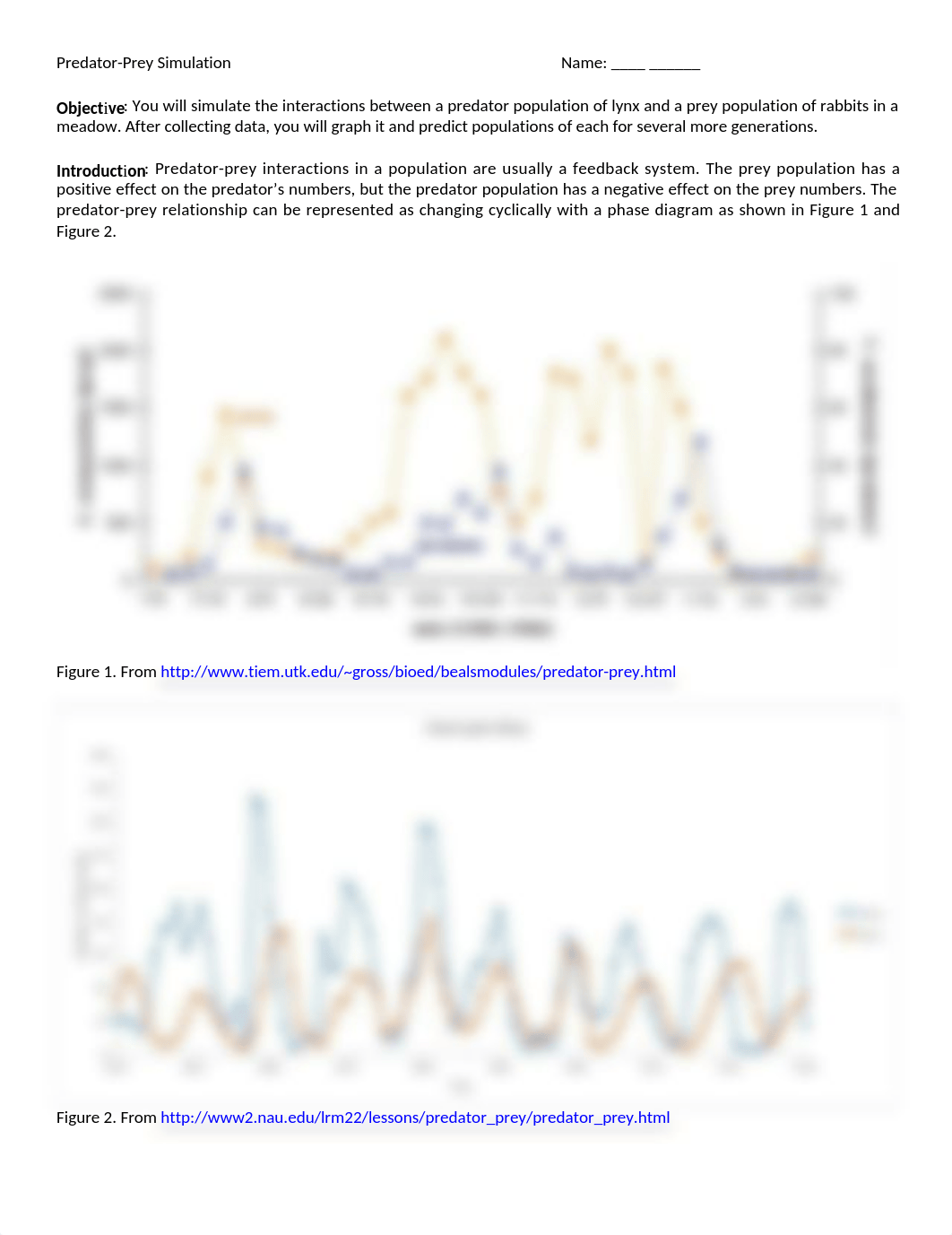 04 Predator-Prey Simulation.docx_d48pf4r5qgn_page1