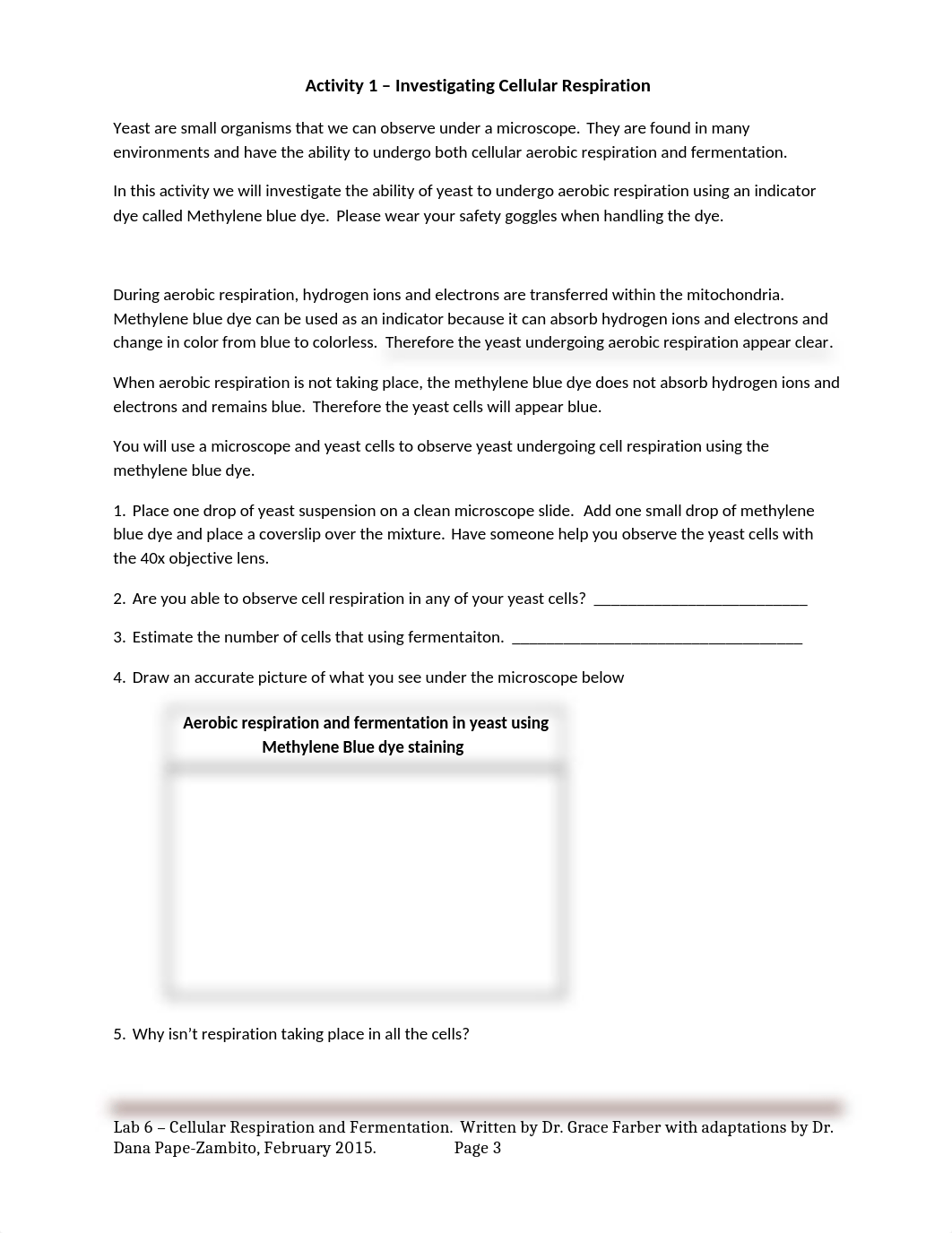 Lab 6_Cell Respiration and Fermentation_d48uuwkz10i_page3