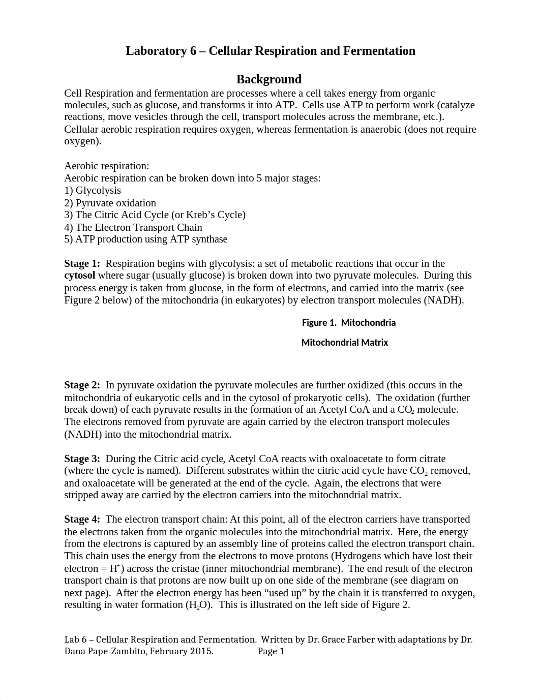 Lab 6_Cell Respiration and Fermentation_d48uuwkz10i_page1