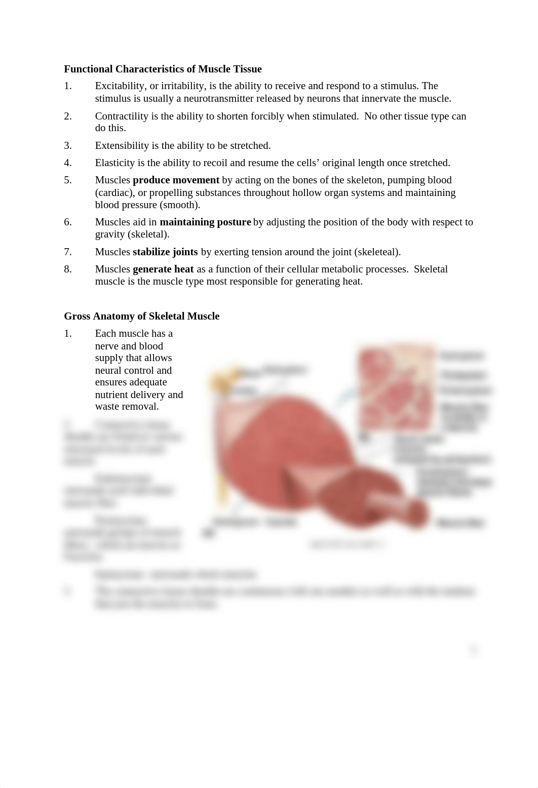 BIO_2113_Lecture_notes_Muscles_Chap_9_d4960pwp9ak_page2