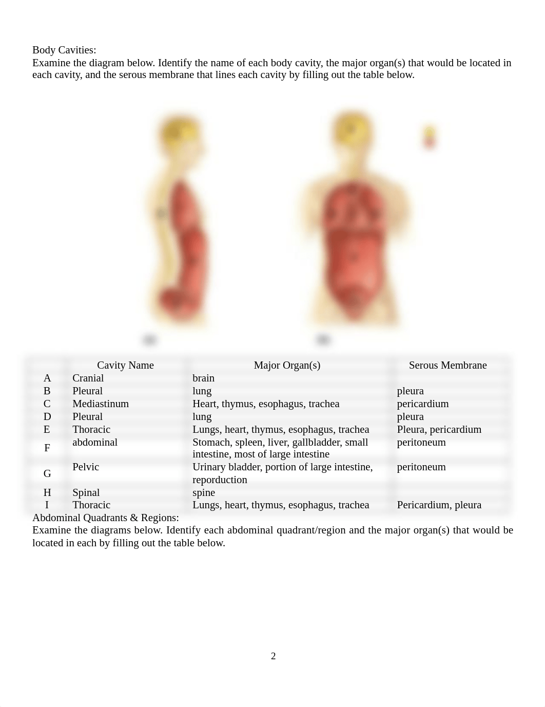 Lab 1 Anatomical Terms(1).docx_d4997giul9o_page2