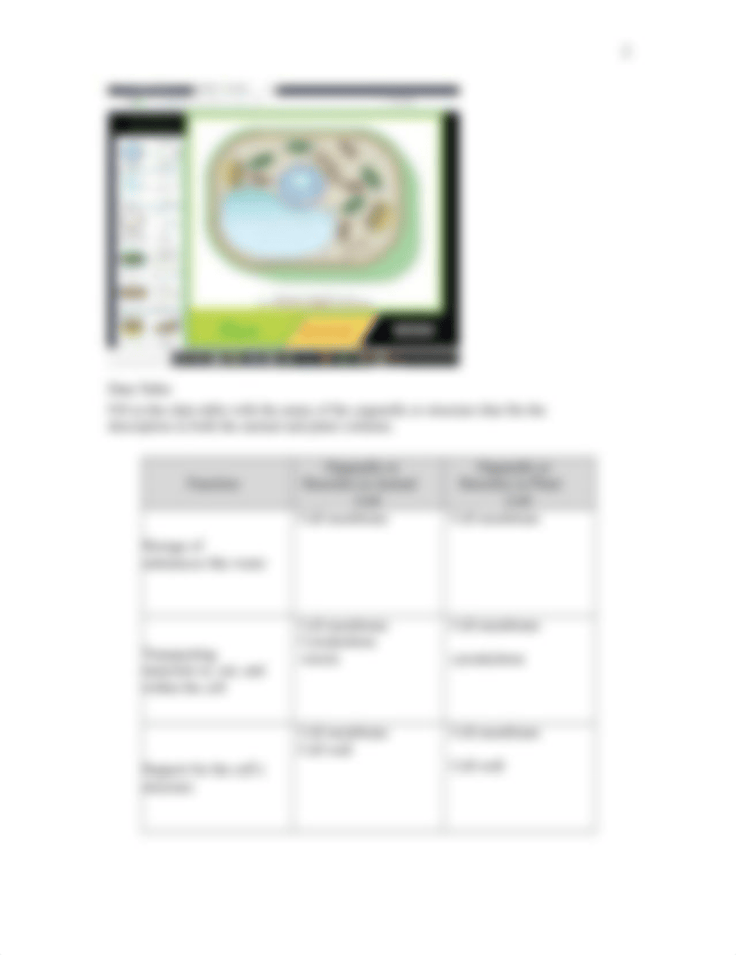 Week 3 Lab Simulation- Animal and Plant Cells-1.doc_d49ae31y0se_page2