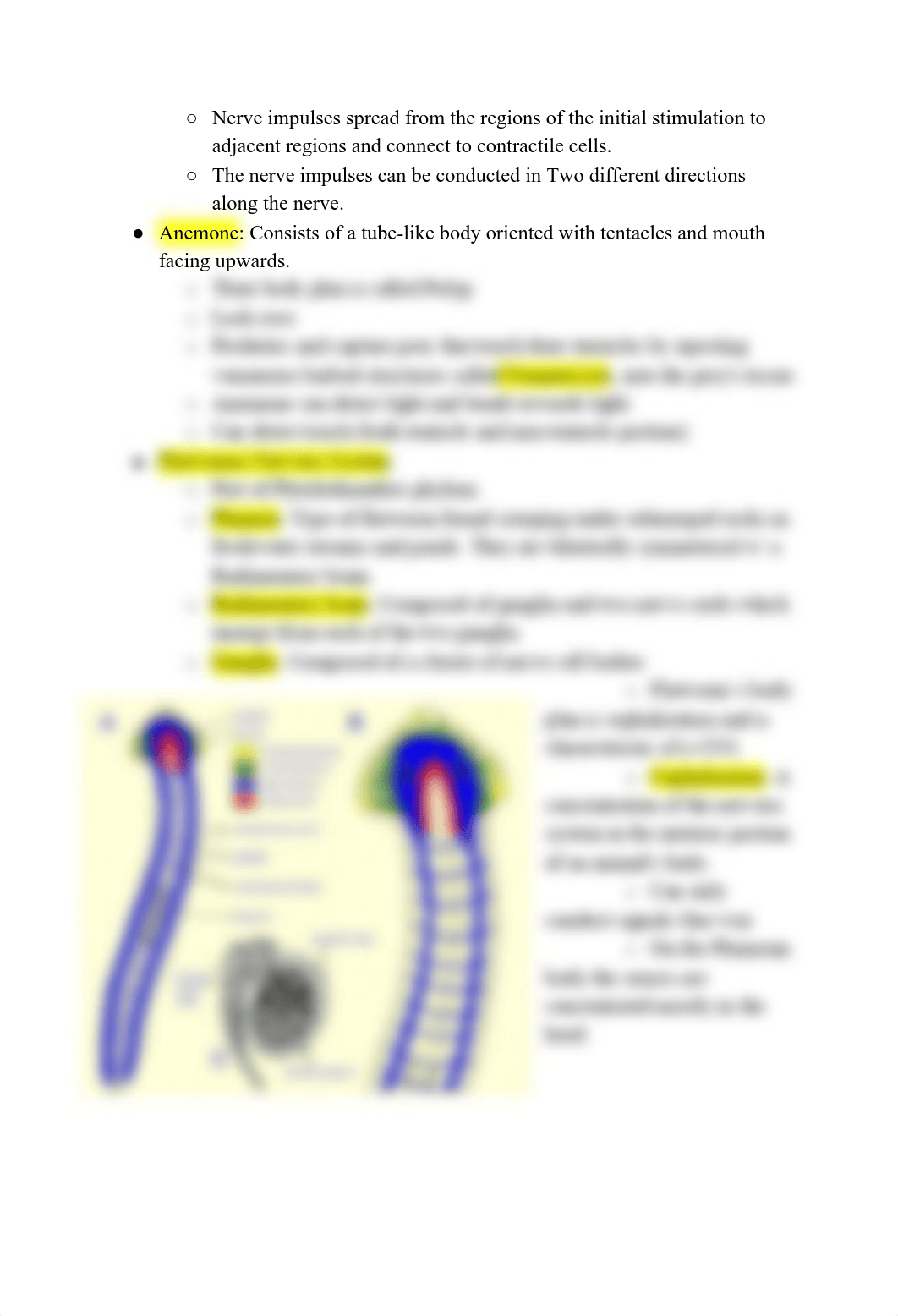 Biology Practical II.pdf_d49wk4nhvqo_page3