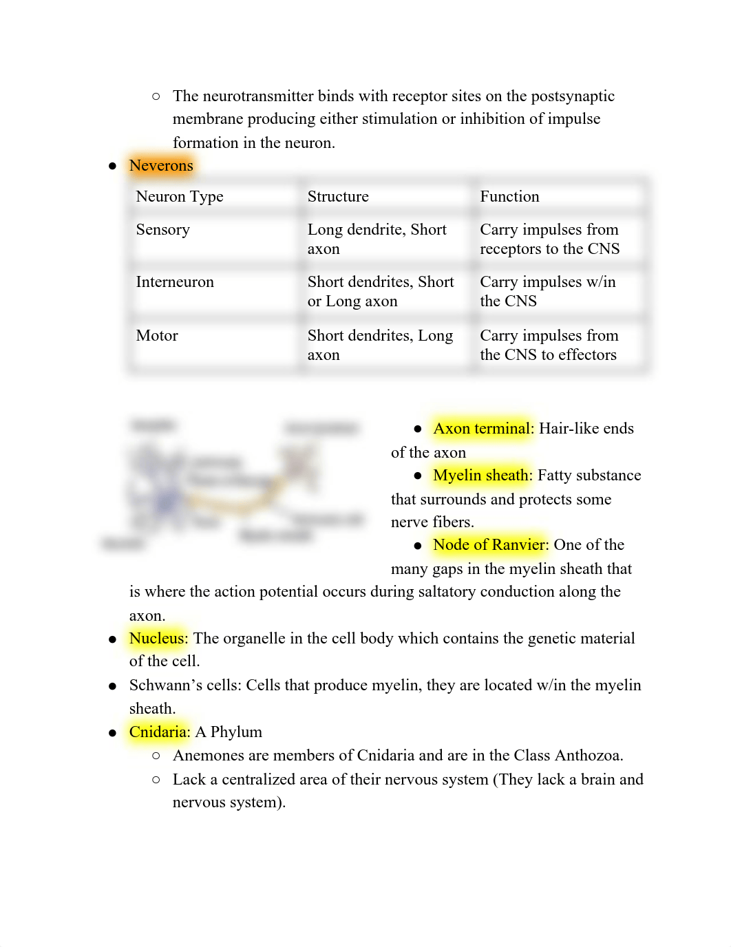 Biology Practical II.pdf_d49wk4nhvqo_page2