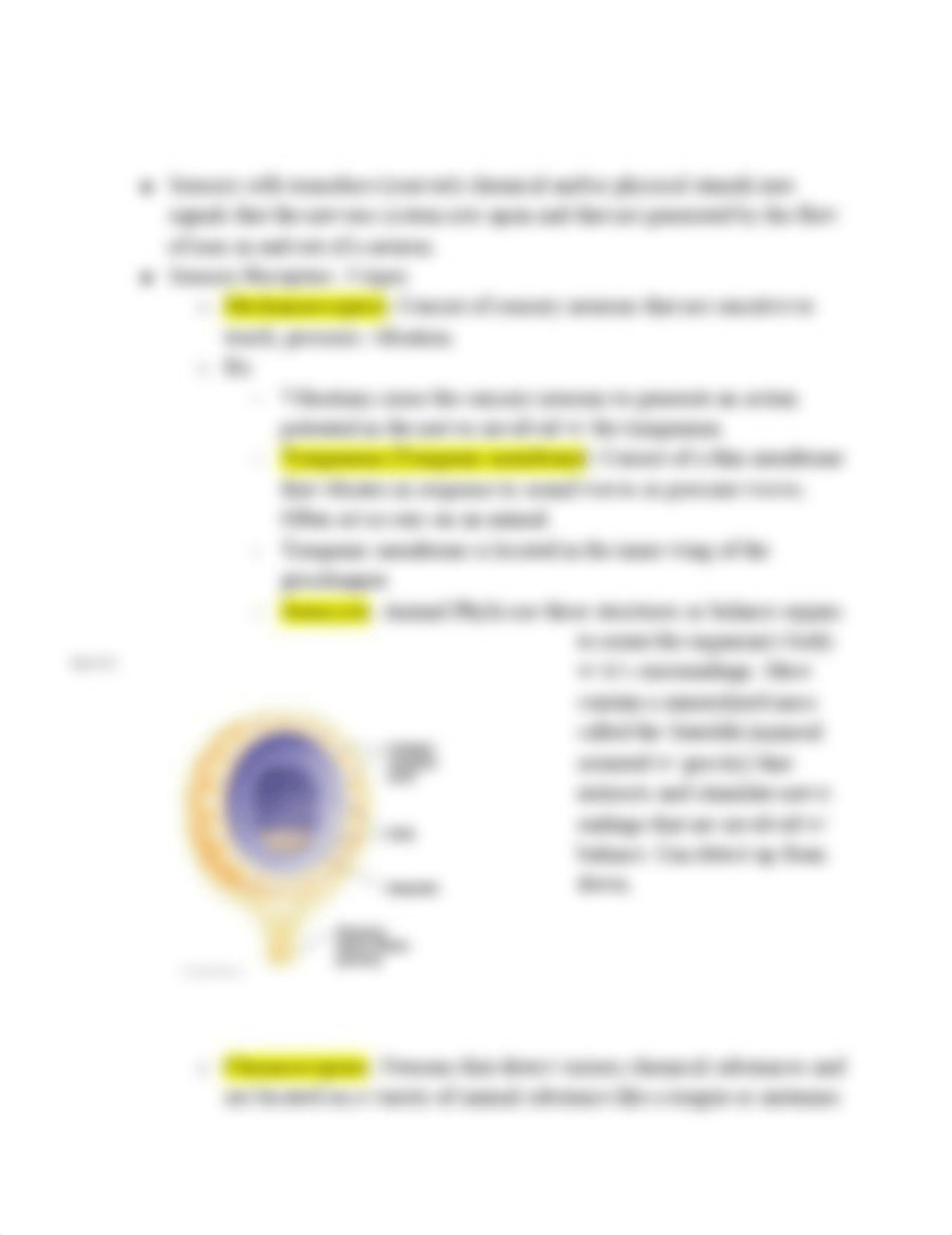 Biology Practical II.pdf_d49wk4nhvqo_page4