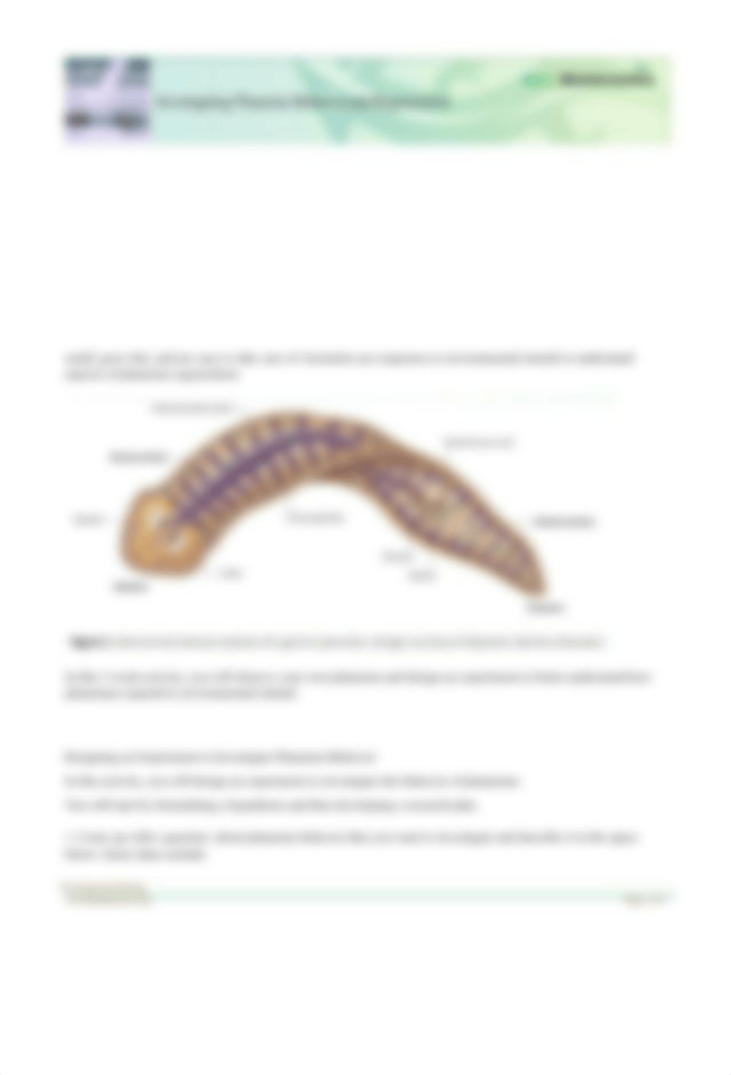 Planaria+lab.docx_d4ab4djo8o0_page1