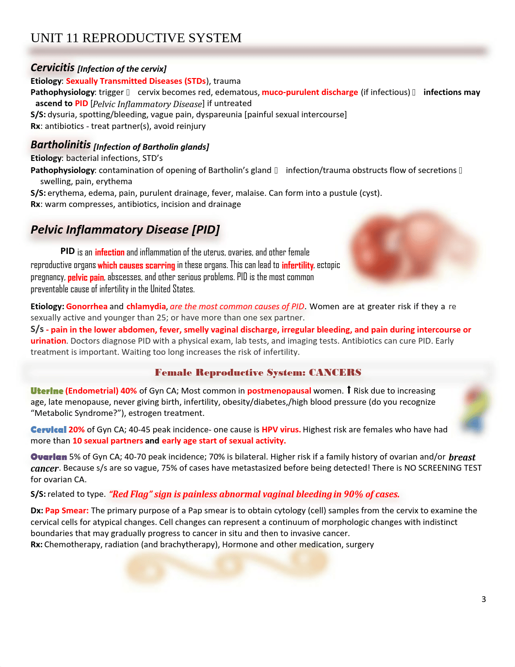 Male and Female Reproductive .pdf_d4acjj3jw2a_page3