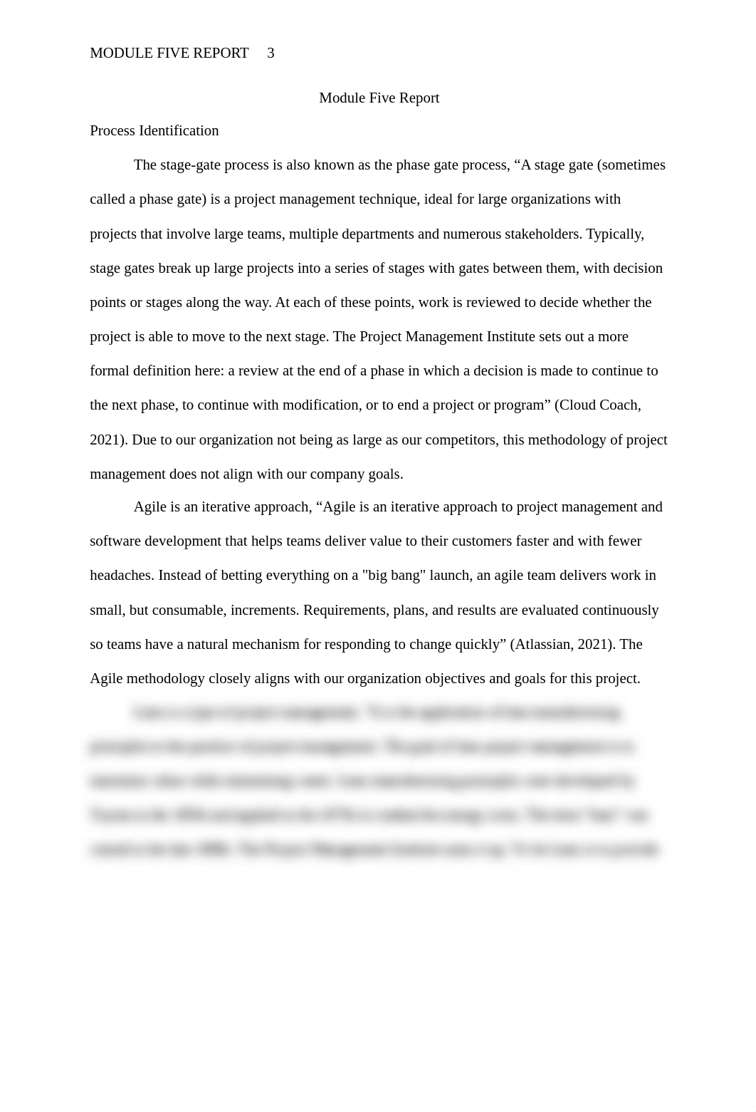 Module Five Report.docx_d4aheceu4rq_page3