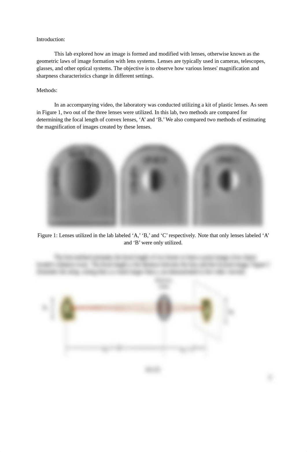 IMGS 111 - LAB 3.docx_d4arzlb94kn_page2