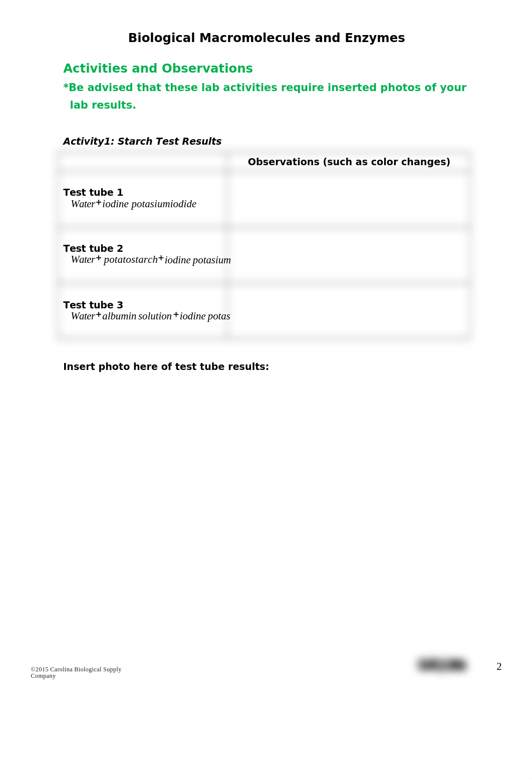 Lab 3 Handout (2).docx_d4au3l91uea_page2