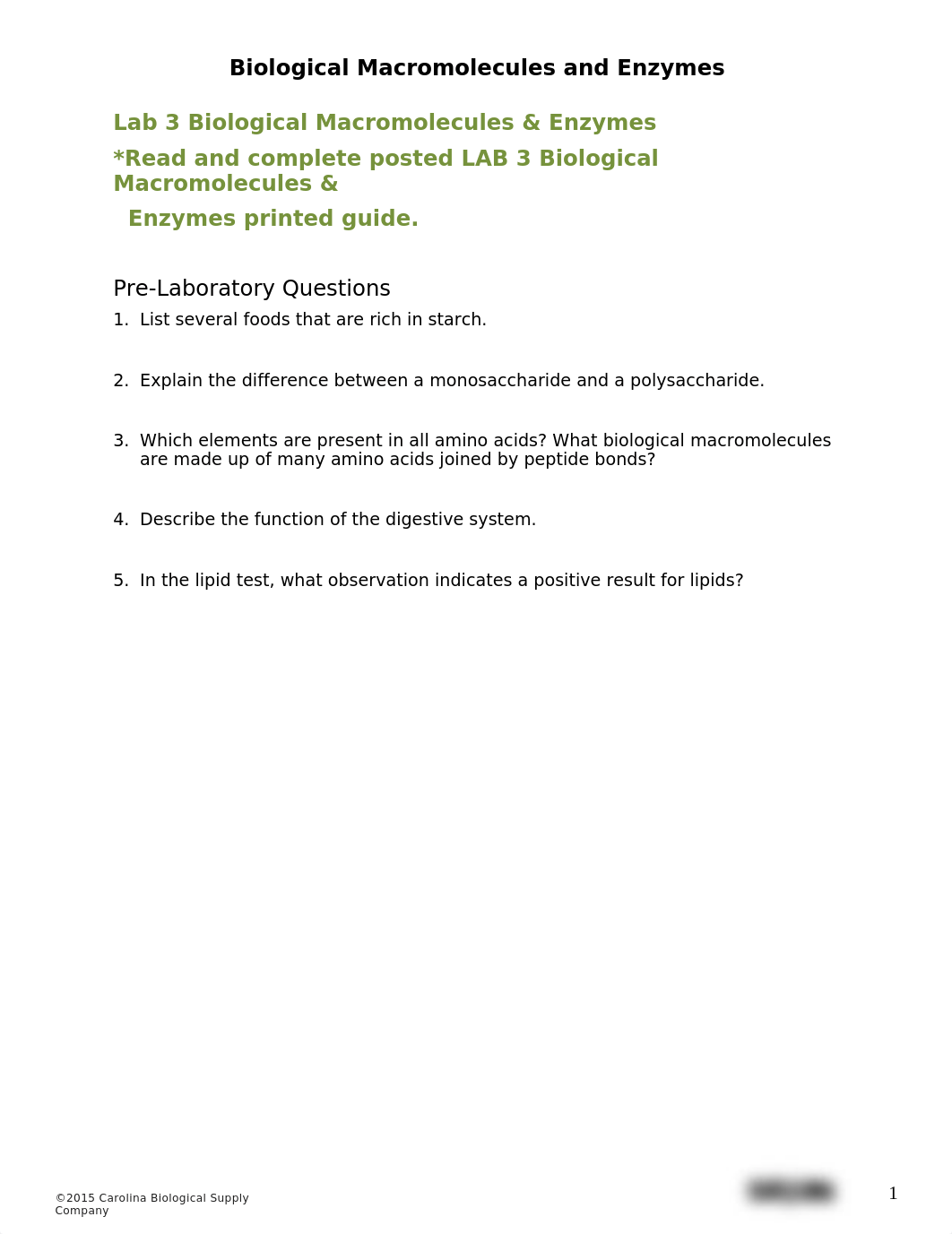 Lab 3 Handout (2).docx_d4au3l91uea_page1