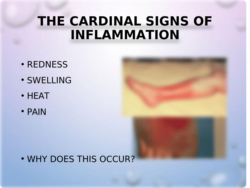 NUR 324.Inflammatory Response(2).pptx_d4awqbgxs59_page5