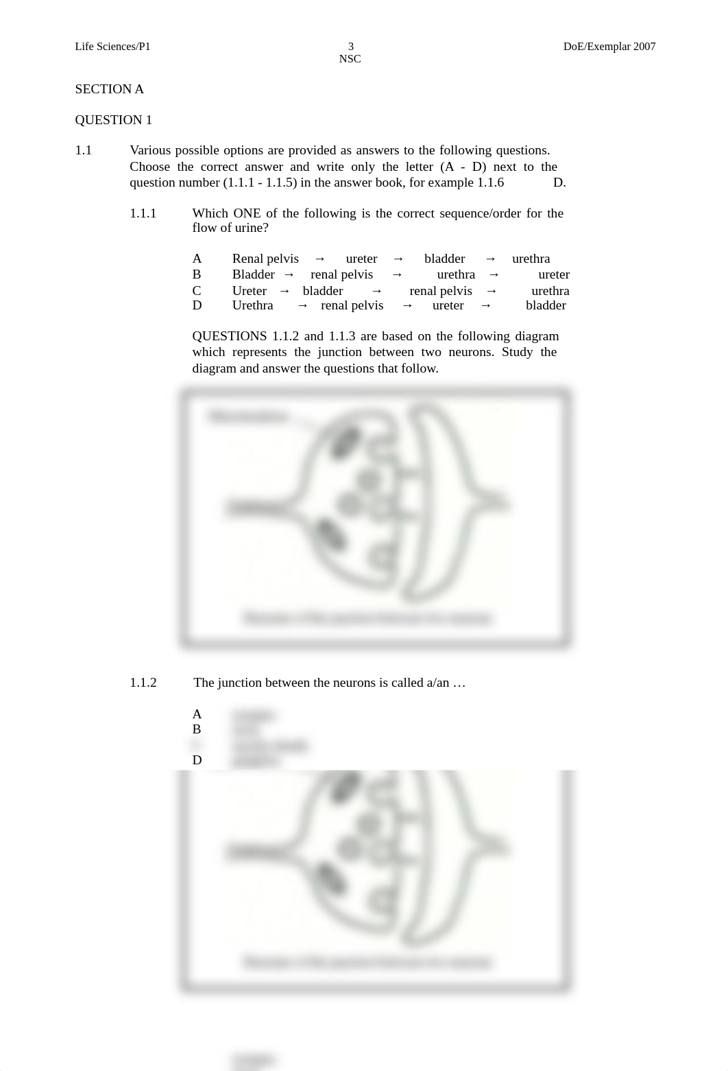 Grade 11 Provincial Exam Papers Life Sciences P1 Exemplar 2007 Question Paper.pdf_d4bc4skqgn4_page3