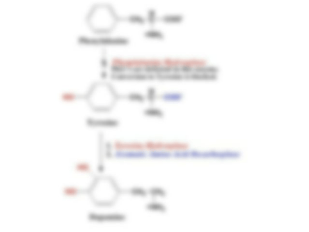 Lecture_(Diseases)_PKU.ppt_d4bgxwnq9de_page5