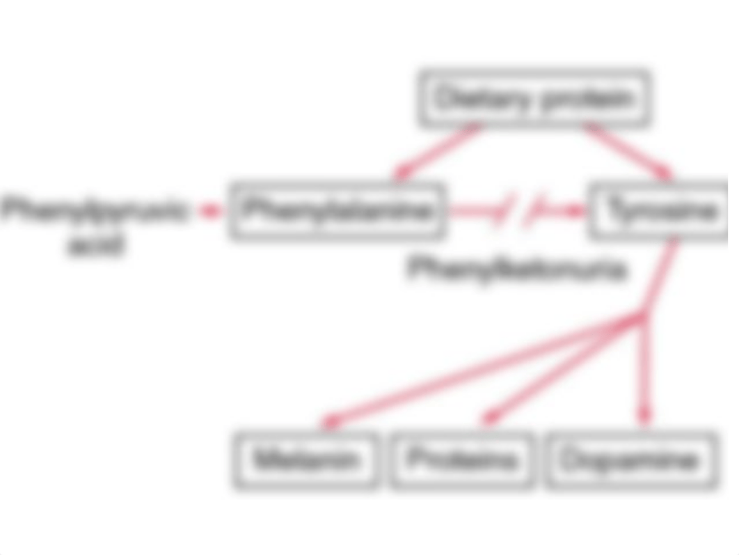 Lecture_(Diseases)_PKU.ppt_d4bgxwnq9de_page4