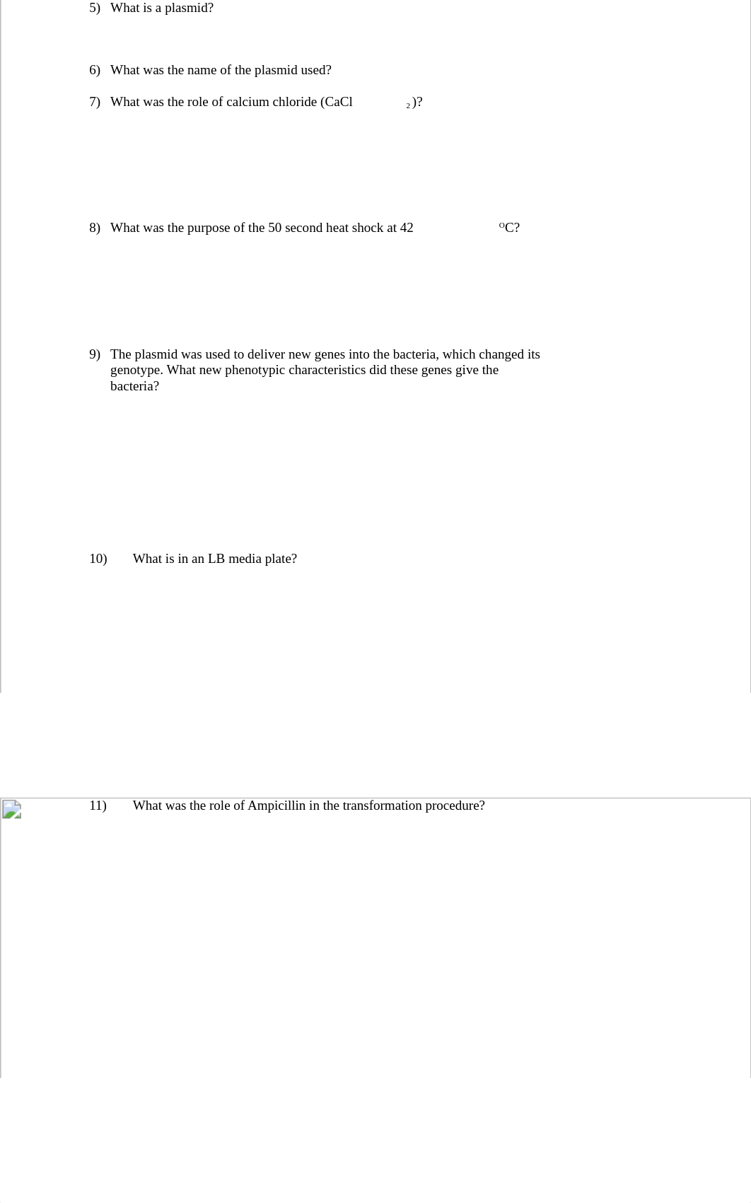 Transformation Lab Exercise.docx_d4bgyx4cdd6_page2