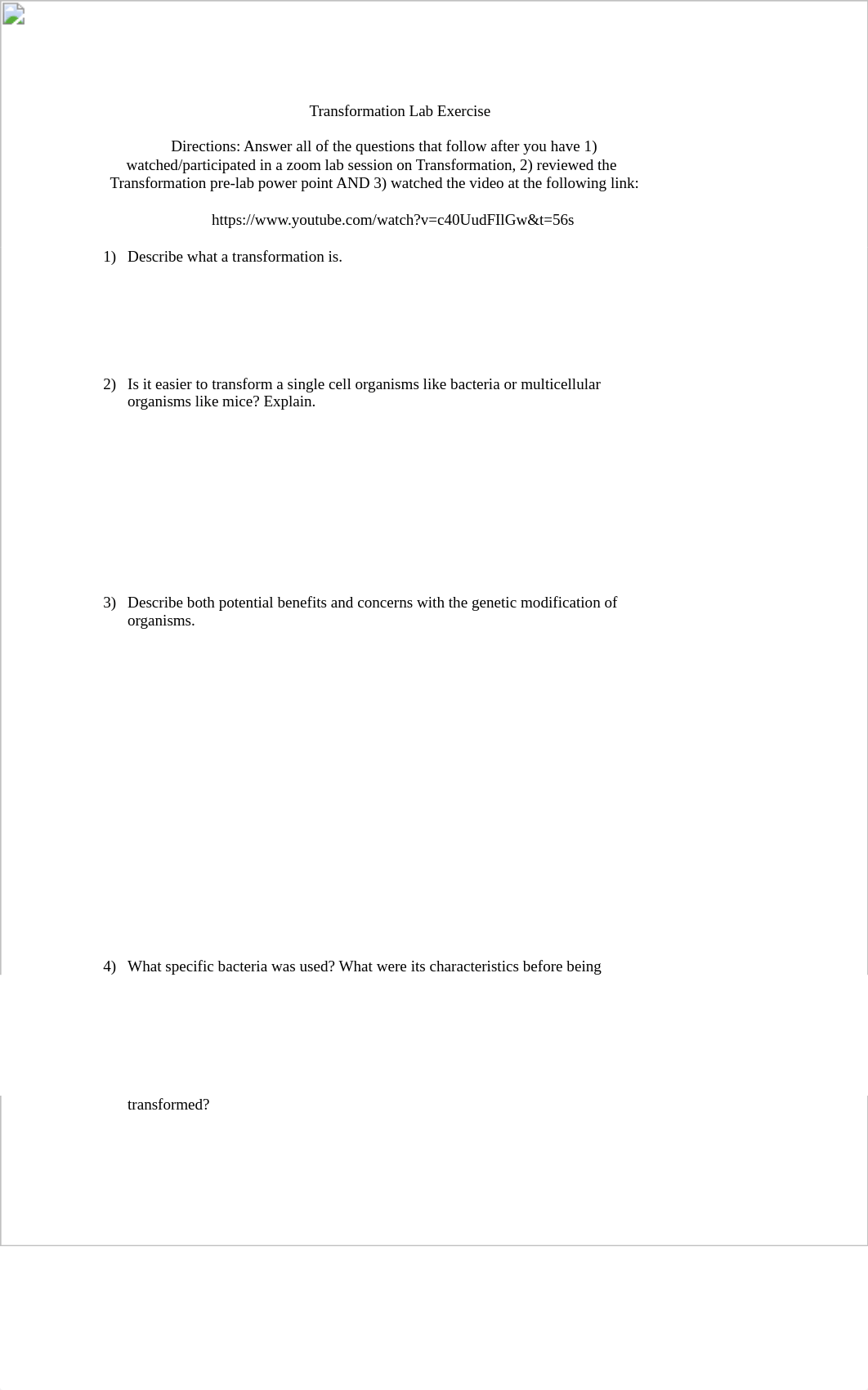 Transformation Lab Exercise.docx_d4bgyx4cdd6_page1