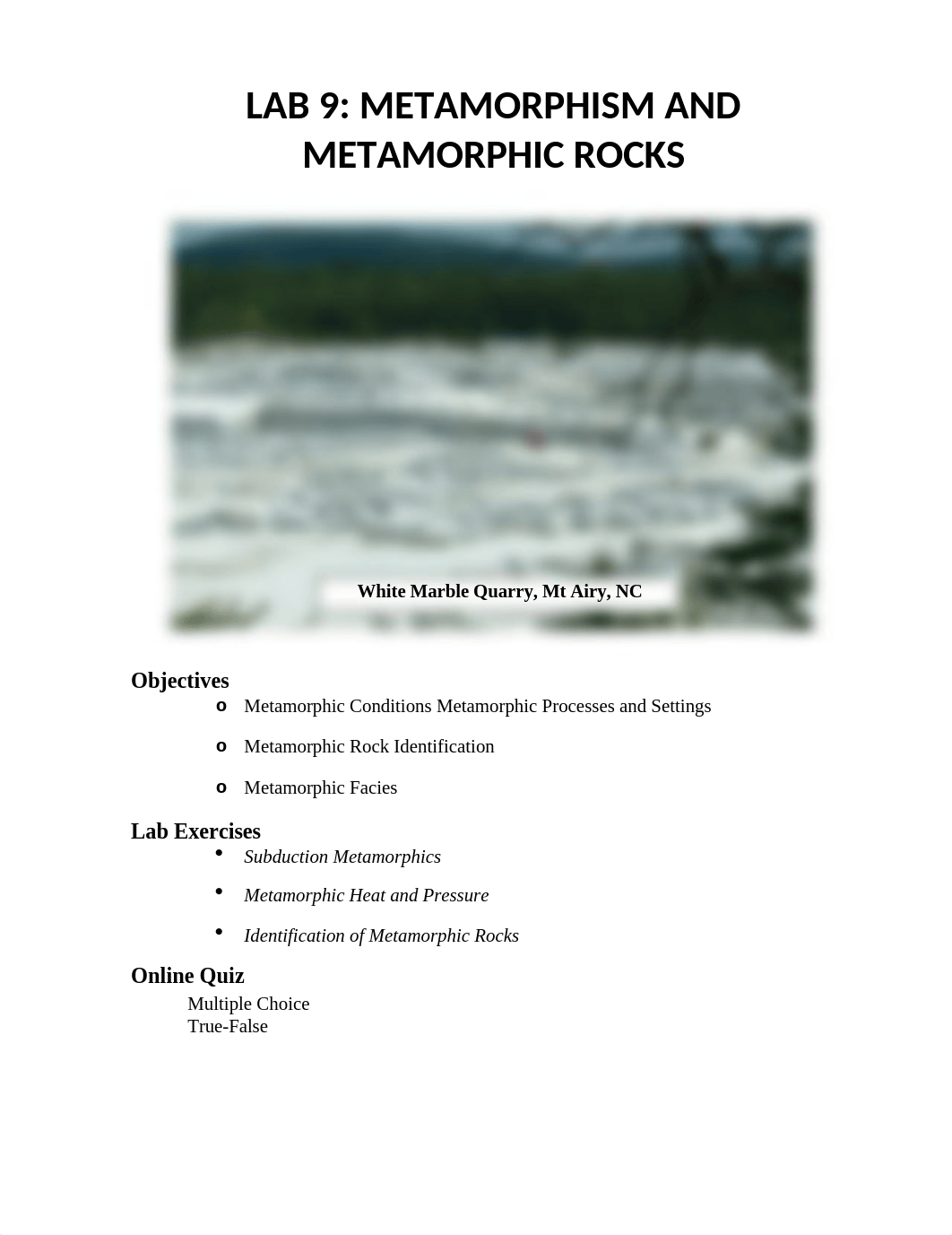 Lab 9 Metamorphic Rocks SF20.docx_d4bm9gp3jjv_page1