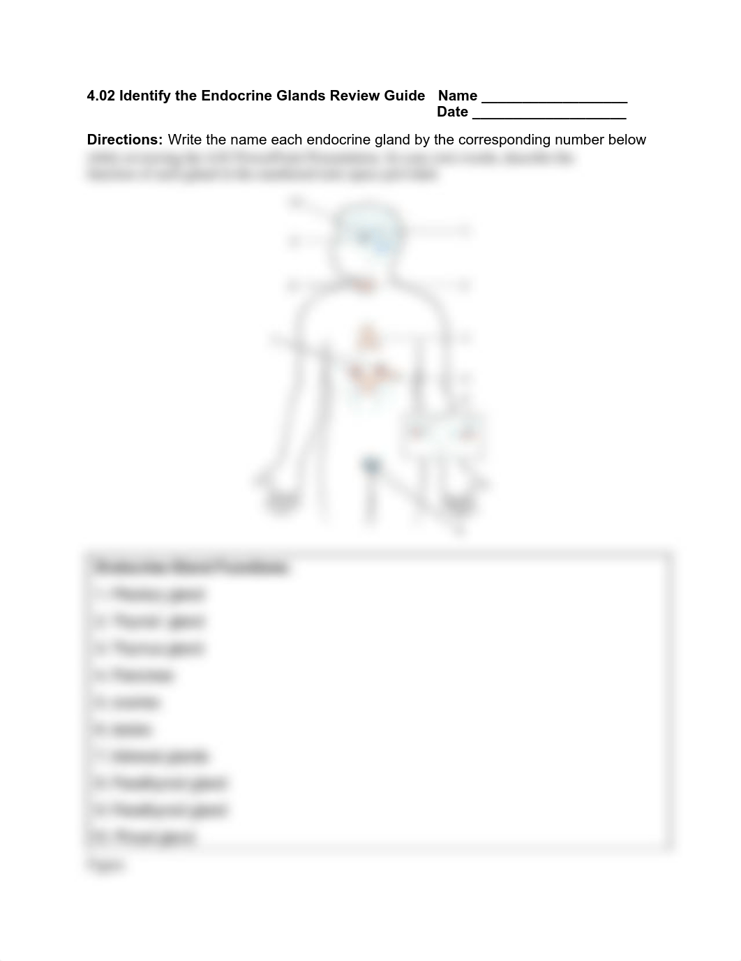 Endocrine diagram (2).pdf_d4bnt1t4f2x_page1