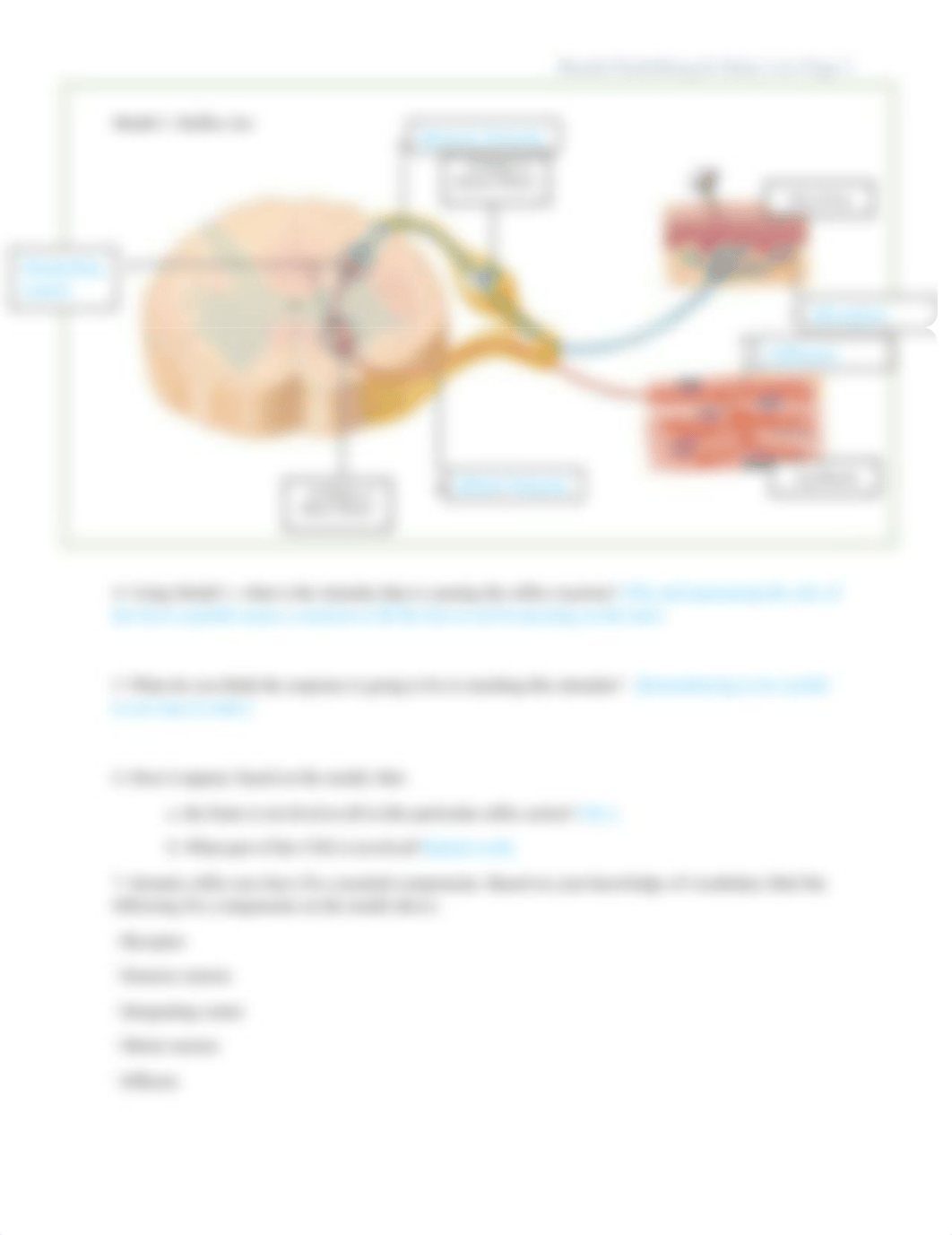 Reflex Arc POGIlish (online).docx_d4c3vo36v3m_page2