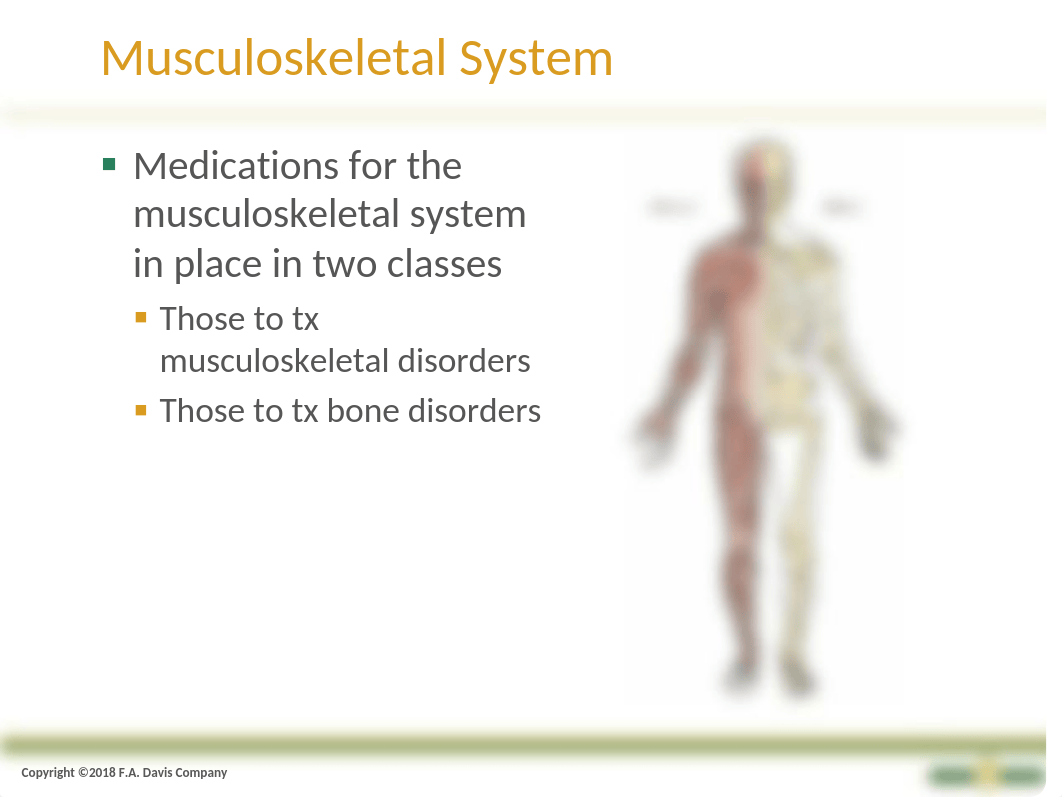 CH 12 Musculoskeletal (1).pptx_d4c4s1eol7p_page4