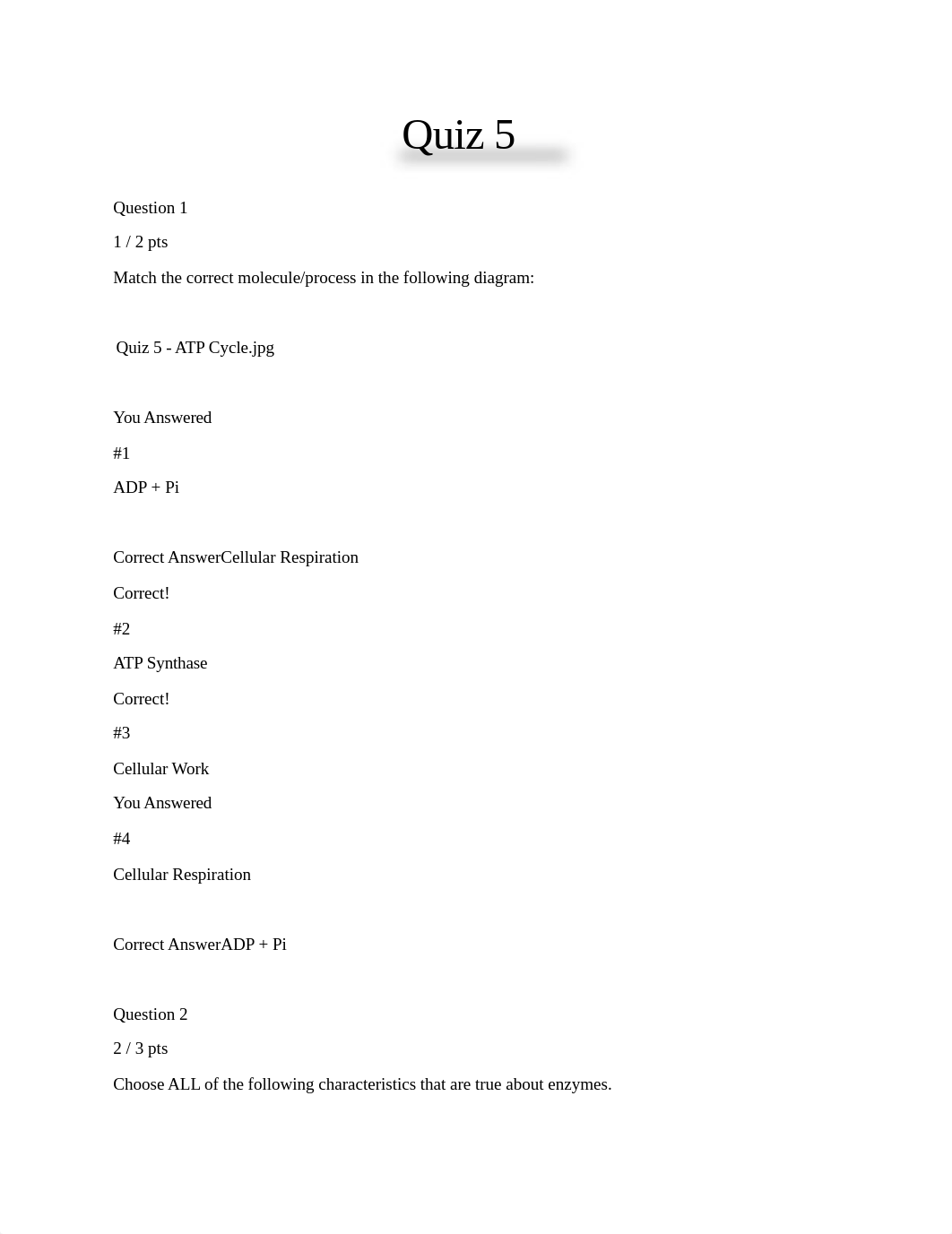 Quiz 5.docx_d4cbolkiqft_page1