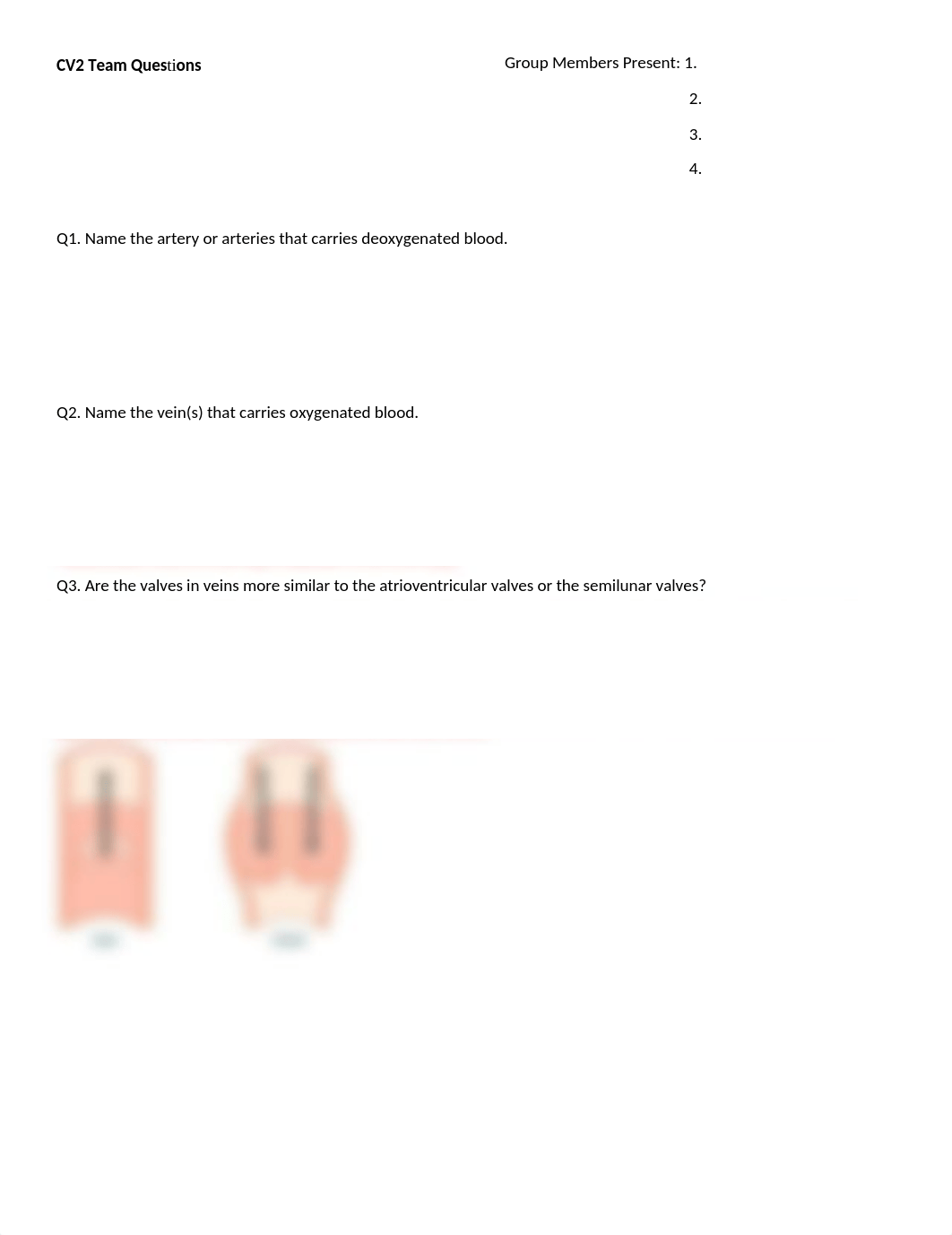 Sect 4 Cardiovasc Q and A.docx_d4cfu3dpxpp_page3