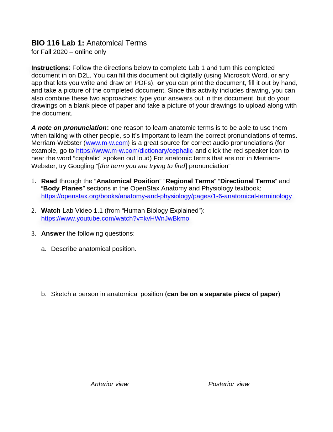 Week 1 Lab Anatomic Terminology (1).doc_d4cjt24gp2p_page1