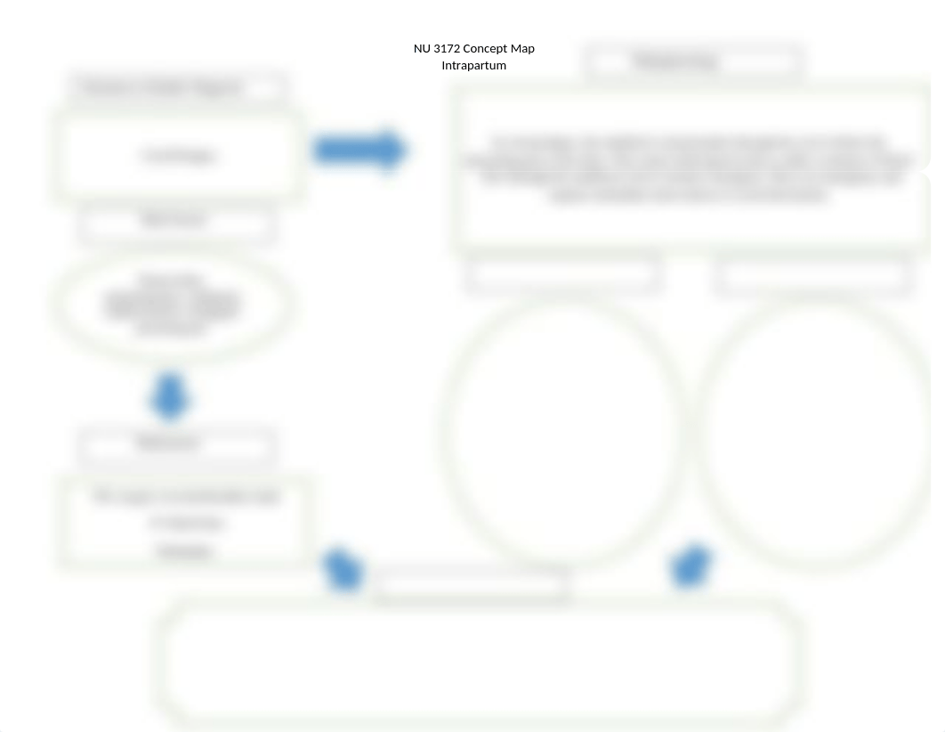 Carla Hernandez Intrapartum Concept Map.docx_d4cmlxz2zzs_page1