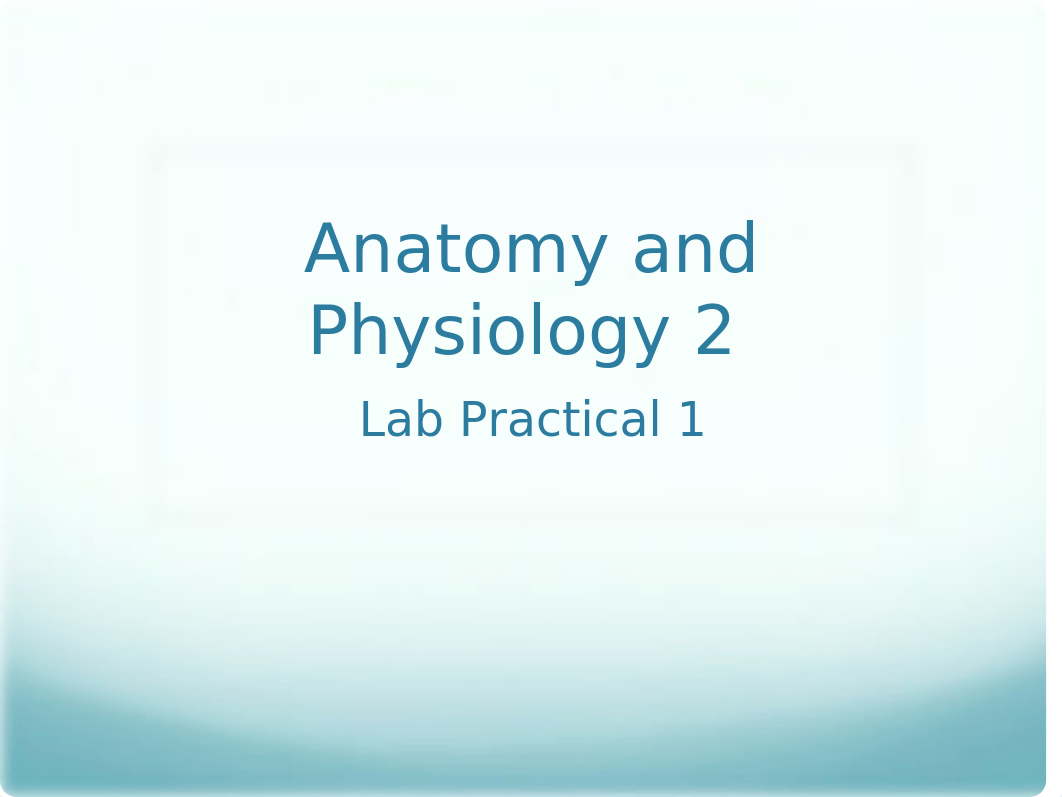 A&P 2 lab practical 1 second choice.pptx_d4czan657qj_page1