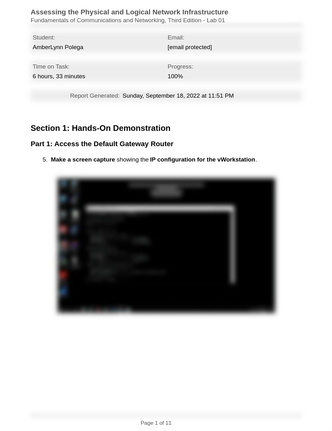 Assessing_the_Physical_and_Logical_Network_Infrastructure_-_AmberLynn_Polega.pdf_d4czw4t9vsz_page1