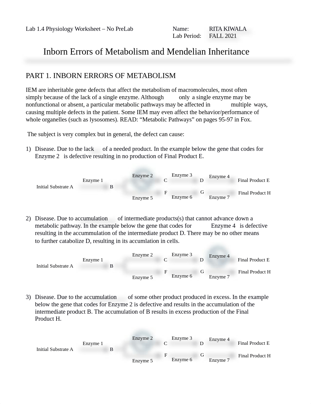 Lab 1.4 IEM and Inheritance NoPreLab.docx_d4deoxn9gqo_page1