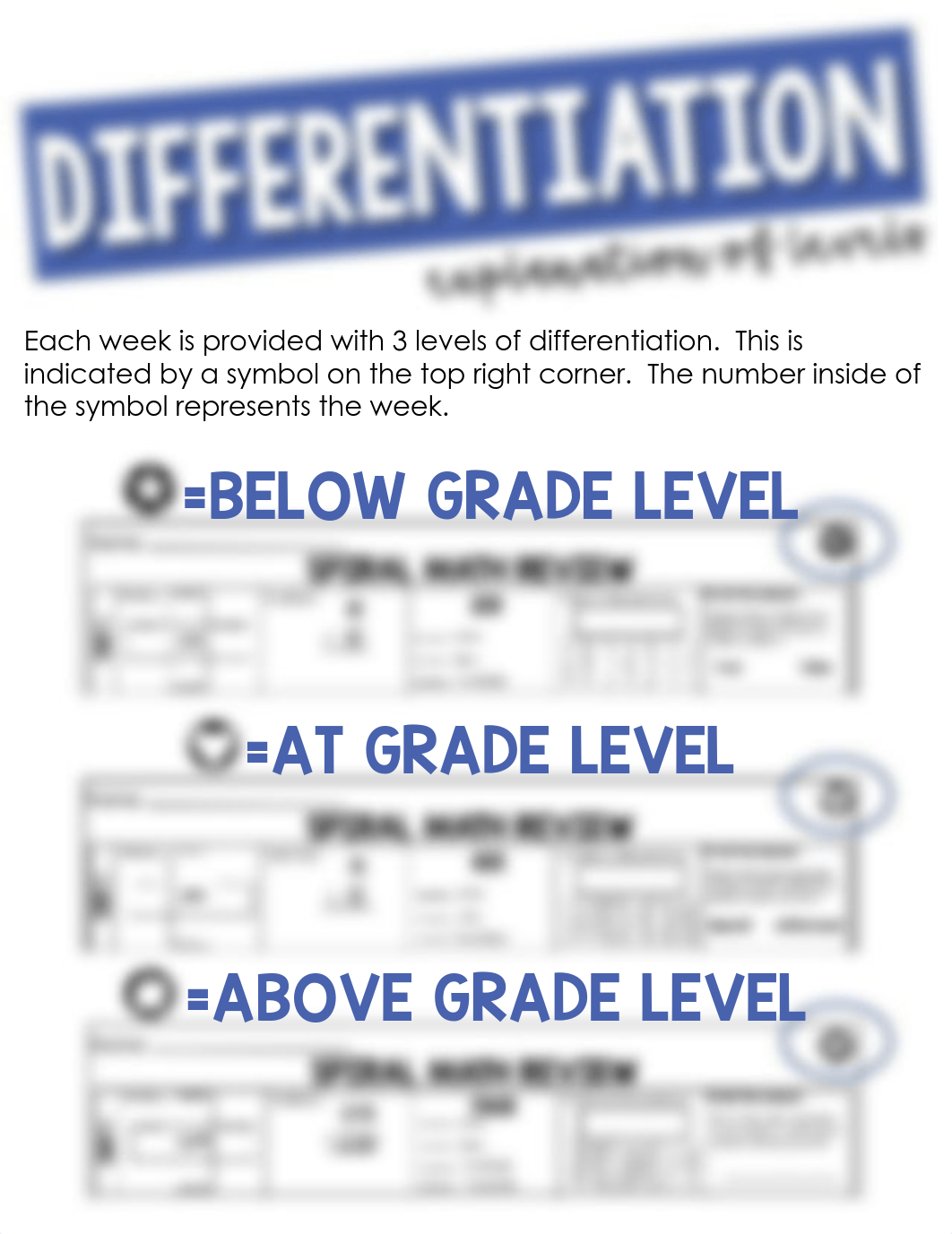 3rd Grade Spiral Math Freebie.pdf_d4dha8lx9oe_page3